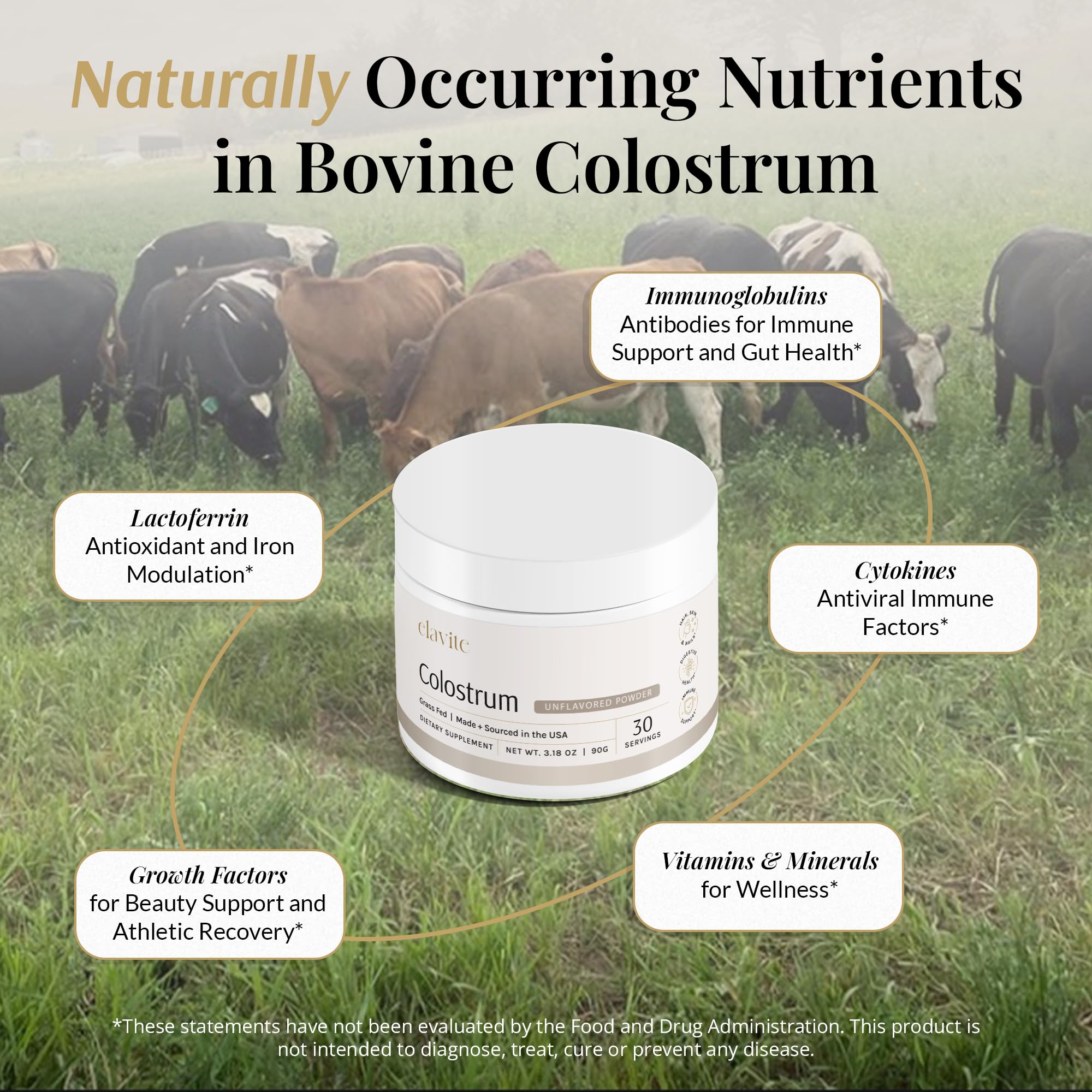 Elavite Bovine Colostrum Powder (Unflavored) Grass Fed Colostrum Supplement for Gut Health, Immune Support Healthy Hair, Skin & Nails - 30 Servings Elavite buy supplements canada