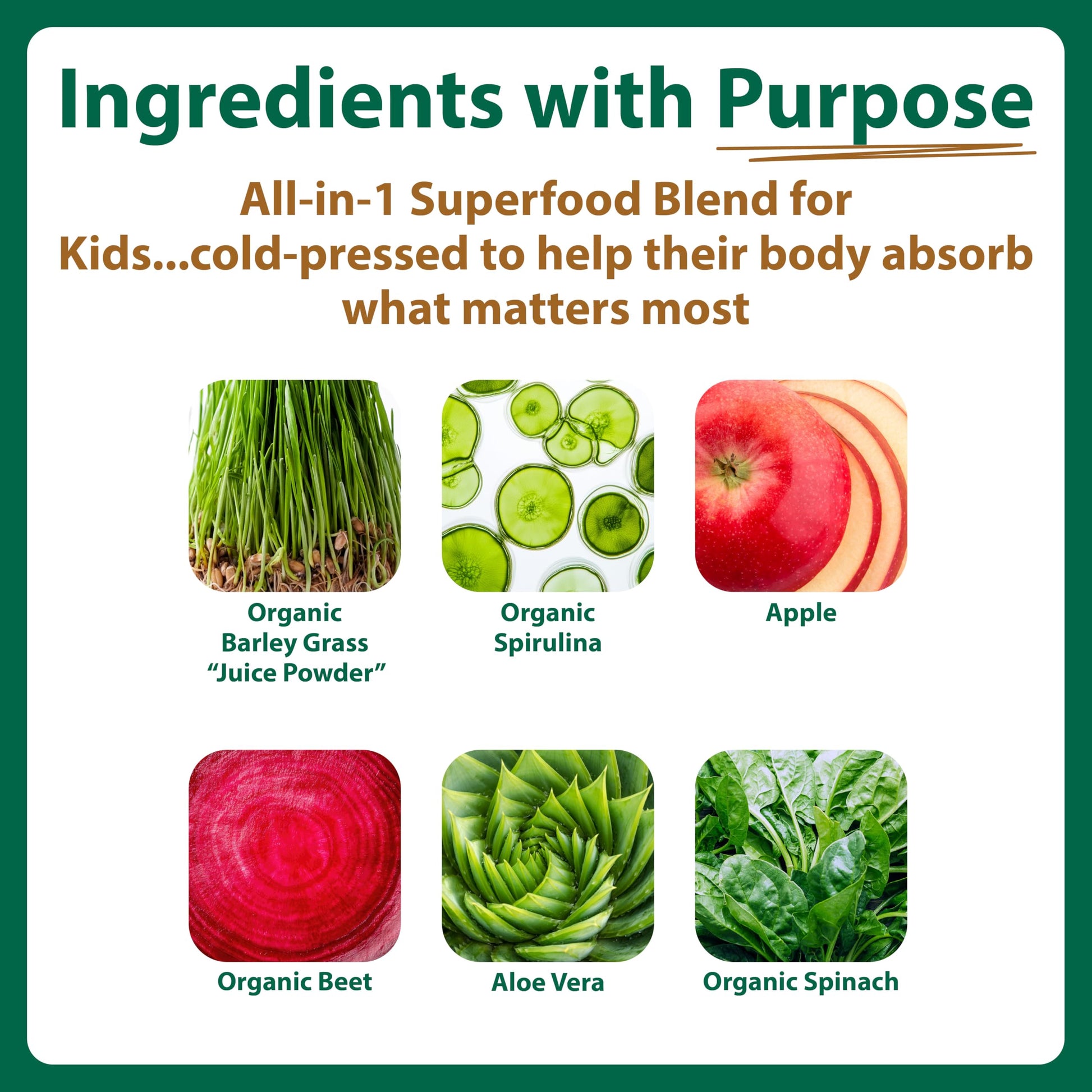 MacroLife Naturals MacroCoco Super Greens Drink, Chocolate Powder Superfood for Kids & Teens - Whole Food Fruit & Vegetable Multi-Vitamins Probiotics Digestive Enzymes & Fiber Supplement - 32 Servings MacroLife Naturals buy supplements canada
