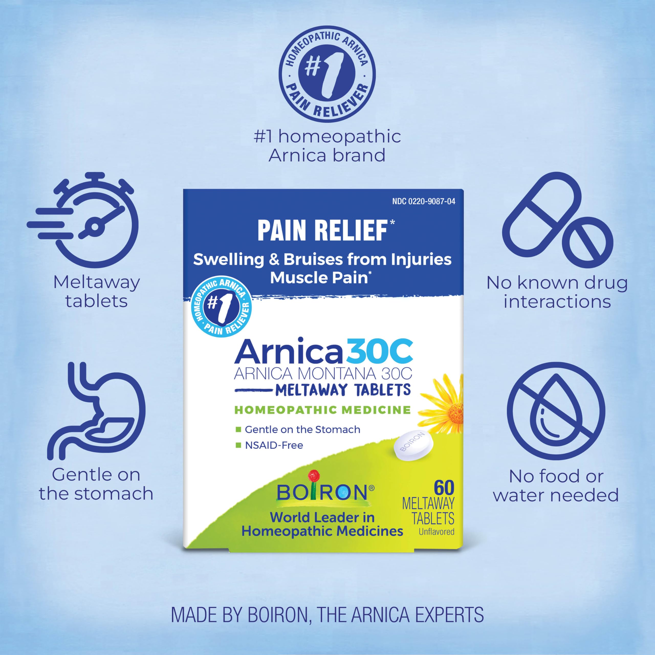 Boiron Arnica 30C Tablets for Pain Relief from Muscle Pain, Joint Soreness, Swelling from Injury or Bruises - 60 Count Boiron buy supplements canada