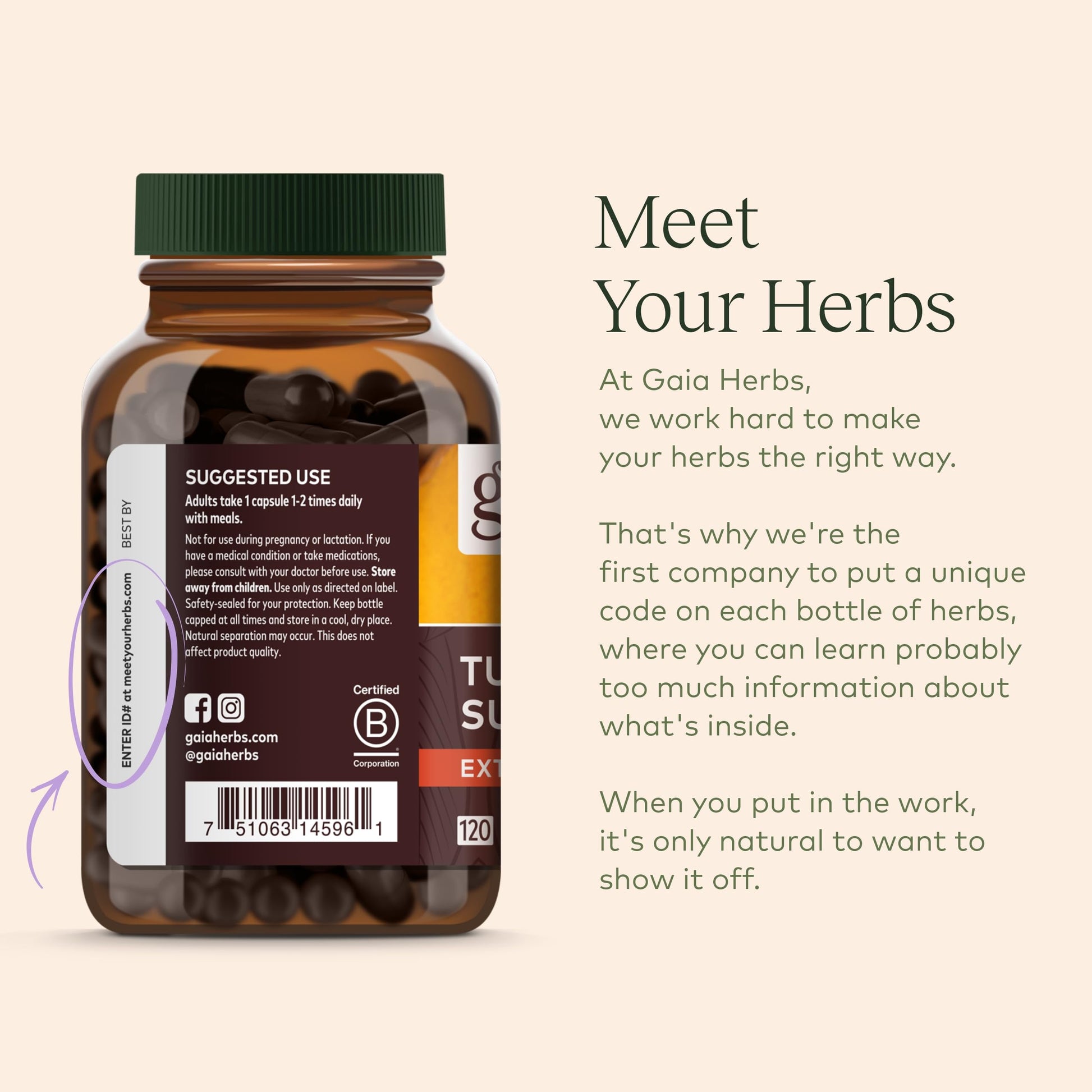 Gaia Herbs Organic Lion’s Mane Mushroom - Brain and Nerve Support Supplement Gaia Herbs buy supplements canada