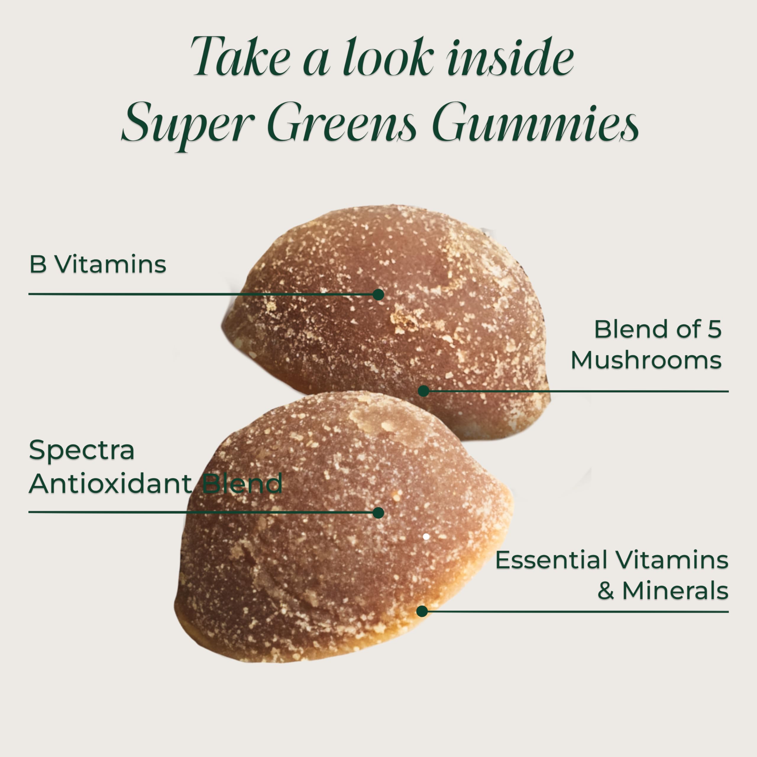 Primal Harvest Super Greens Gummies, Superfood Blend with Adaptogenic Mushrooms Vitamins & Nutrient-Rich Minerals & Antioxidants for Energy & Immune Support 1 Pack 60 Count, Primal Harvest buy supplements canada
