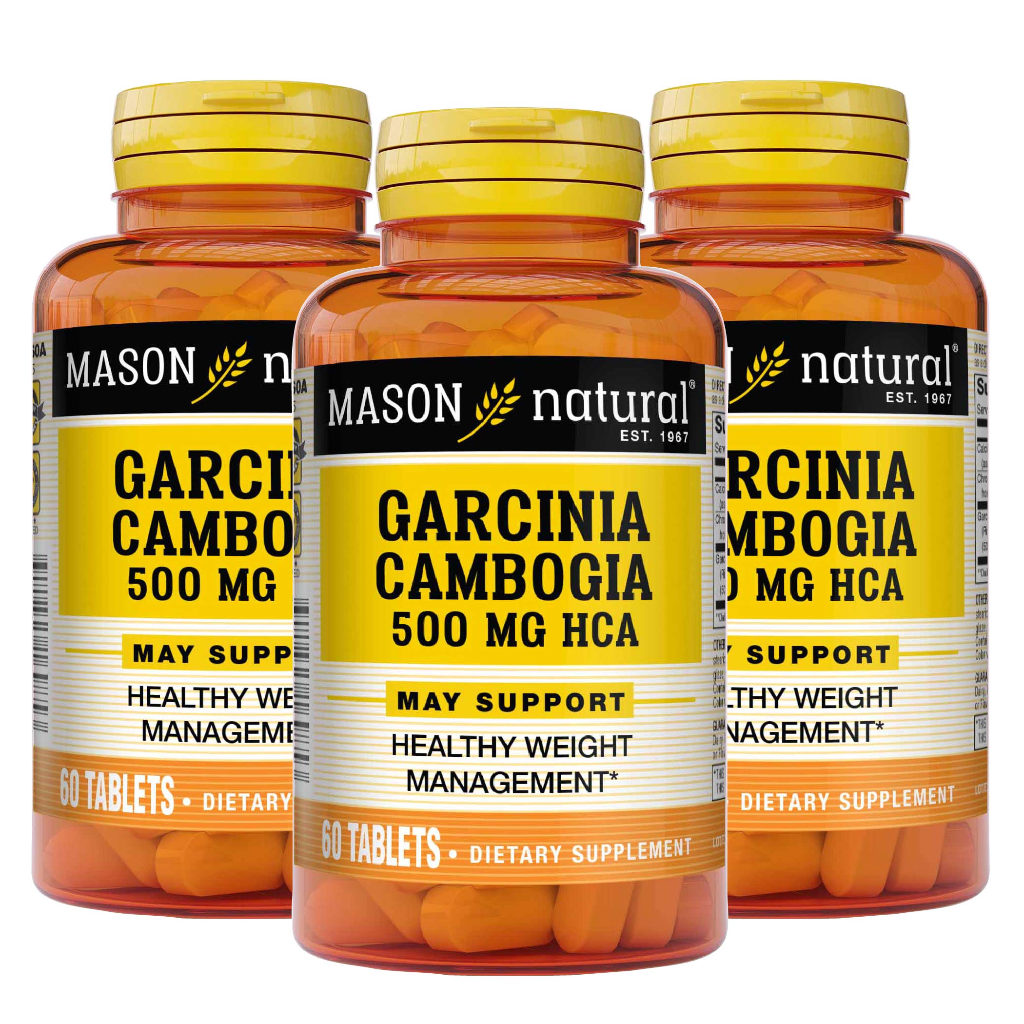 MASON NATURAL Garcinia Cambogia 500 mg HCA with Calcium and Chromium MASON NATURAL buy supplements canada