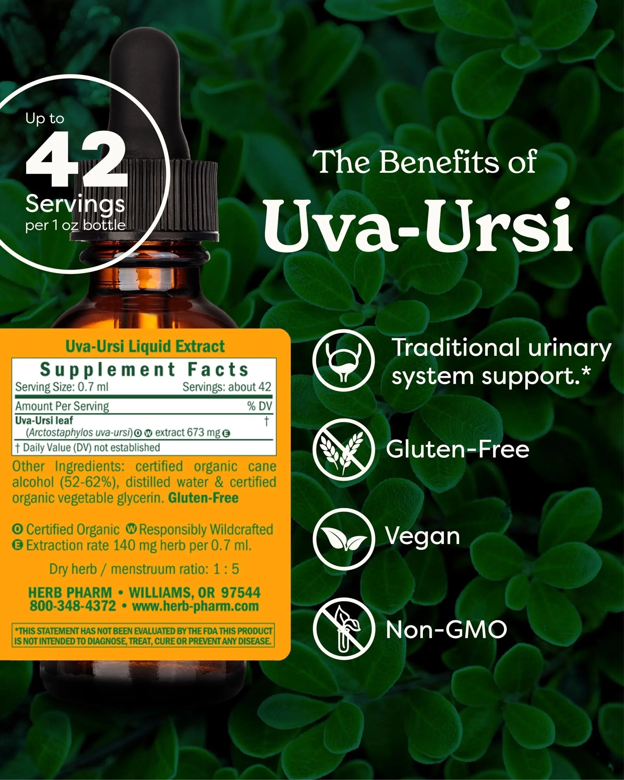 Herb Pharm Uva Ursi Liquid ExtraCount for Urinary System Support, 1 Fl Oz Herb Pharm buy supplements canada