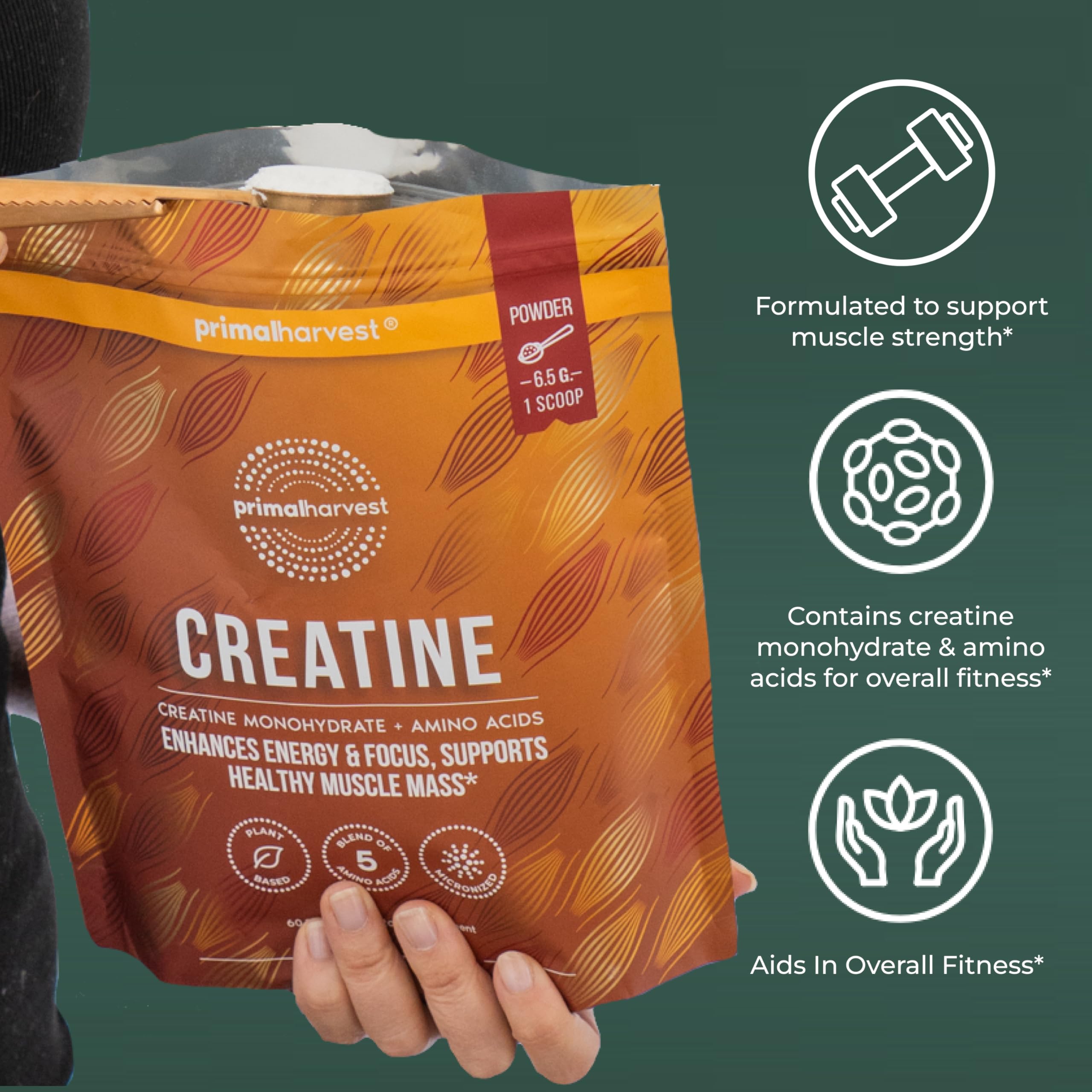 Primal Harvest Creatine Powder Supplement for Men and Women's Fitness, Workouts, and Muscle Growth, to Help Promote Recovery, Strength, Energy, and Endurance (1) Primal Harvest buy supplements canada