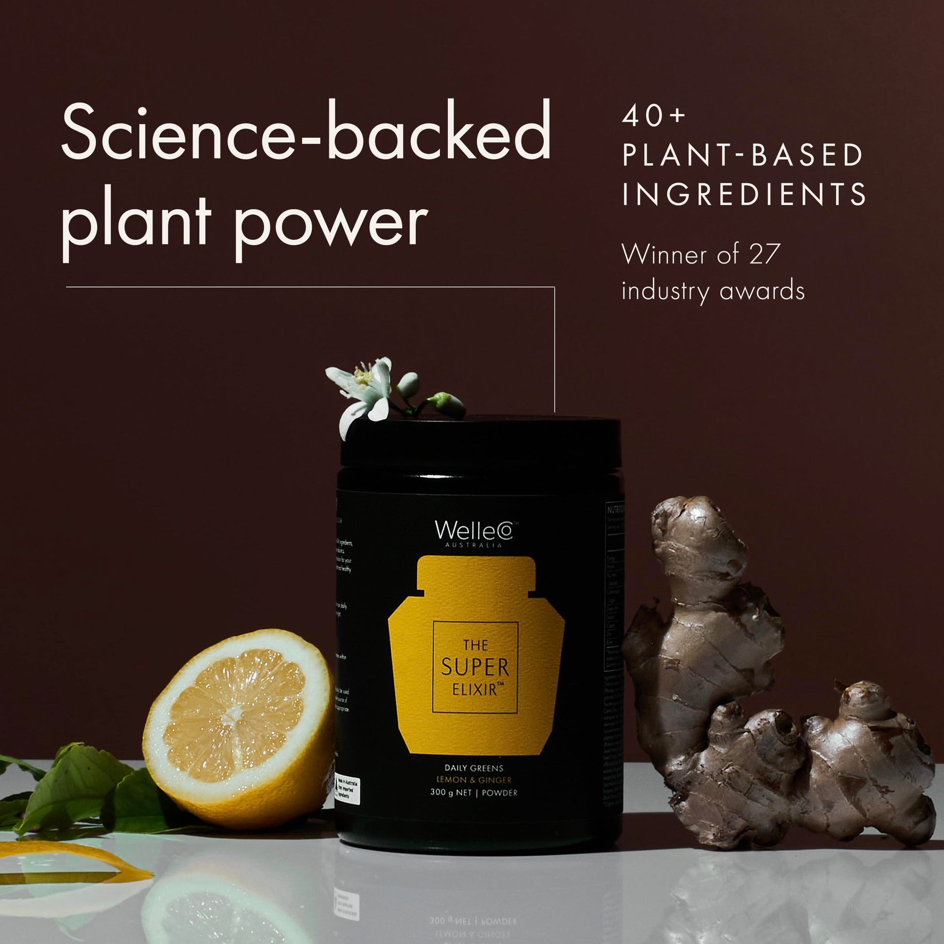 WelleCo The Super Elixir Daily Greens Powder, Probiotic Drink Mix with Whole Foods, Gluten Free, Vegan Gut Health Powder, Energy, Immunity, Healthy Skin, Hair & Nails (300g, Lemon Ginger) WelleCo buy supplements canada