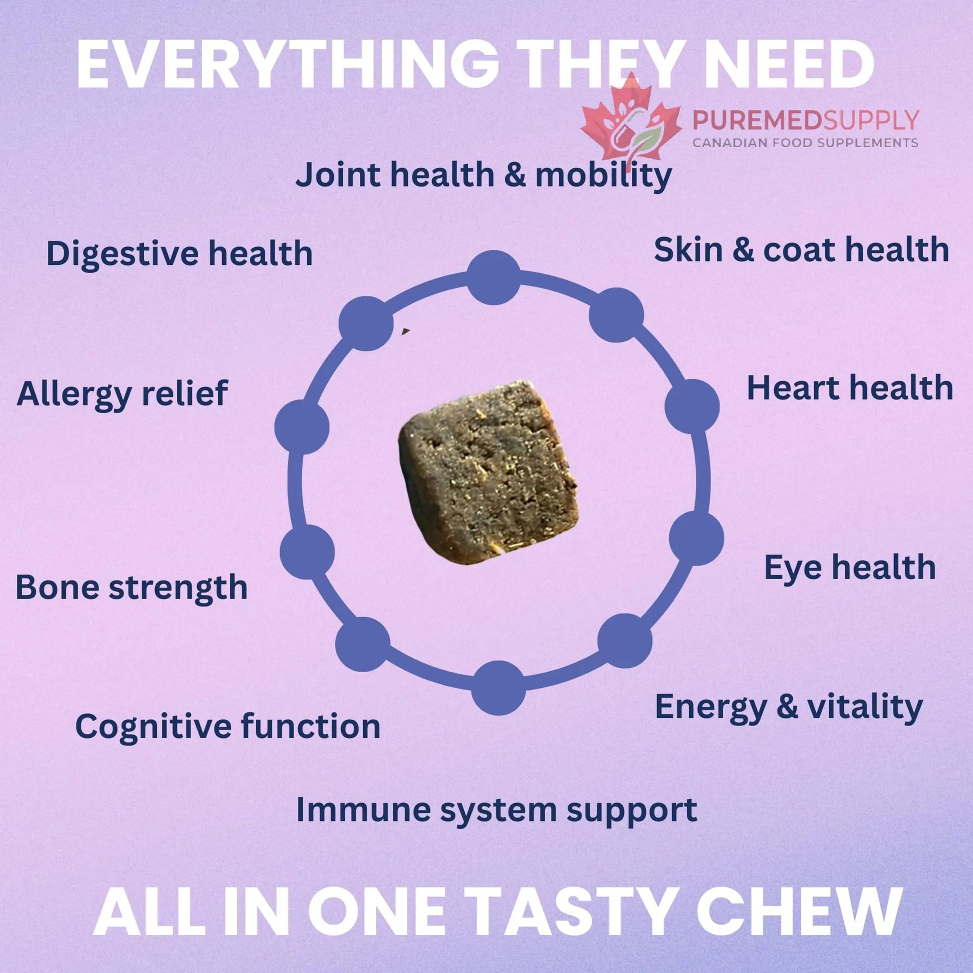 Under the Weather Multivitamin for Dogs | Vet Formulated Daily Canine Health Supplies for Immunity, Skin, Coat & Joint Support | All-in-One Multivitamin for Dogs of All Breeds & Sizes | 60 Count Under the Weather buy supplements canada