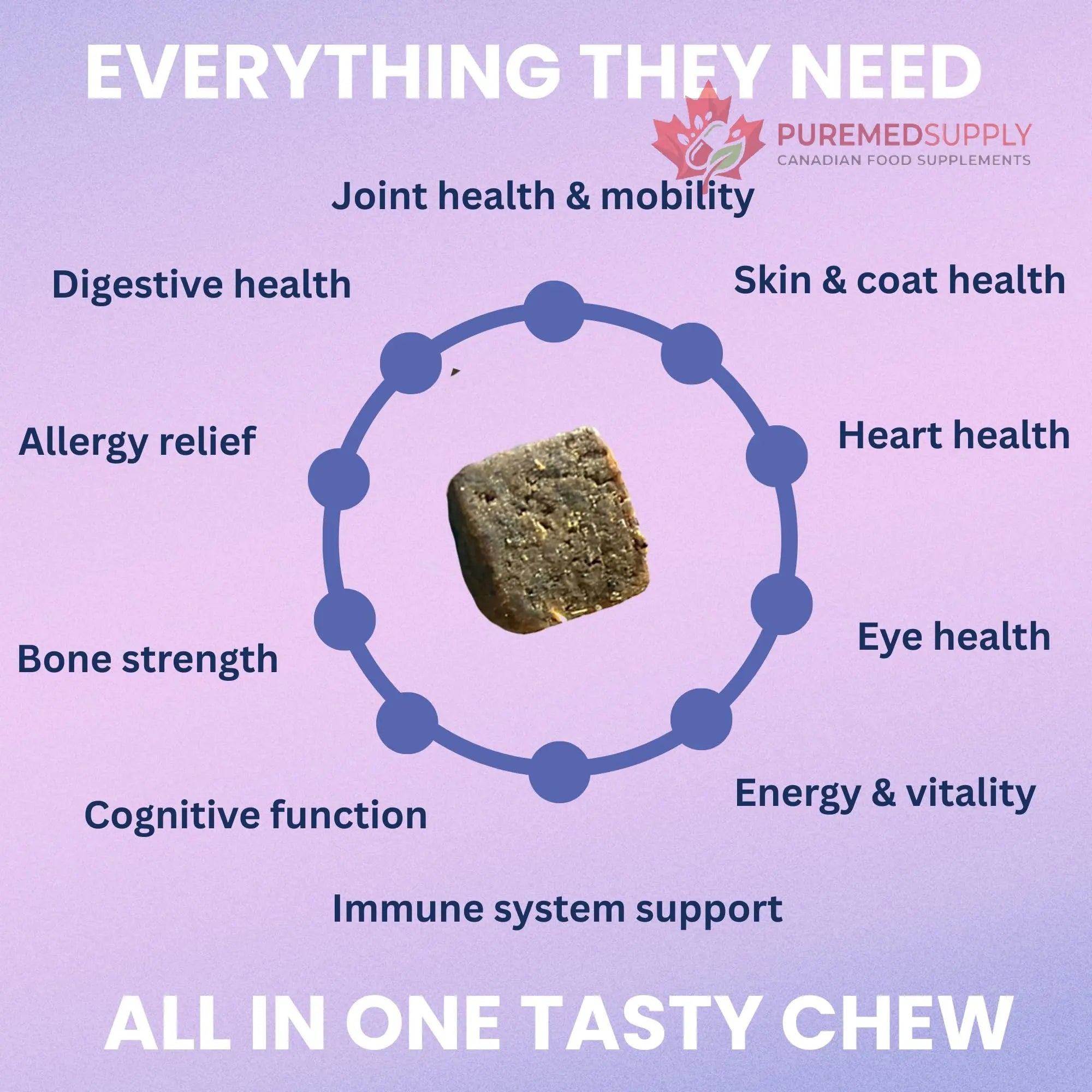 Under the Weather Multivitamin for Dogs | Vet Formulated Daily Canine Health Supplies for Immunity, Skin, Coat & Joint Support | All-in-One Multivitamin for Dogs of All Breeds & Sizes | 60 Count Under the Weather buy supplements canada