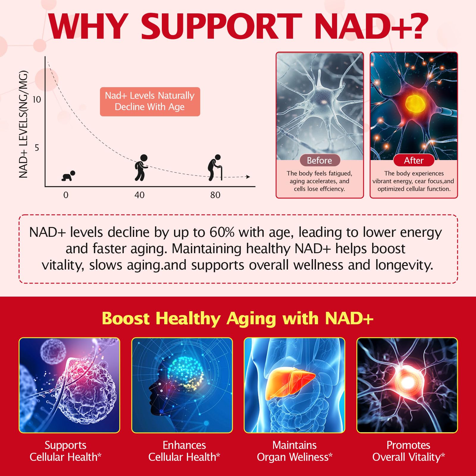 bnHUlMXw NAD Liquid Supplement,1000mg Premium Nicotinamide Riboside & Resveratrol,NAD+ Berry Flavor Drink Mix for Skin Aging Support,Boosts Cellular Energy – NAD Supplements for Men & Women,30 Packs bnHUlMXw buy supplements canada