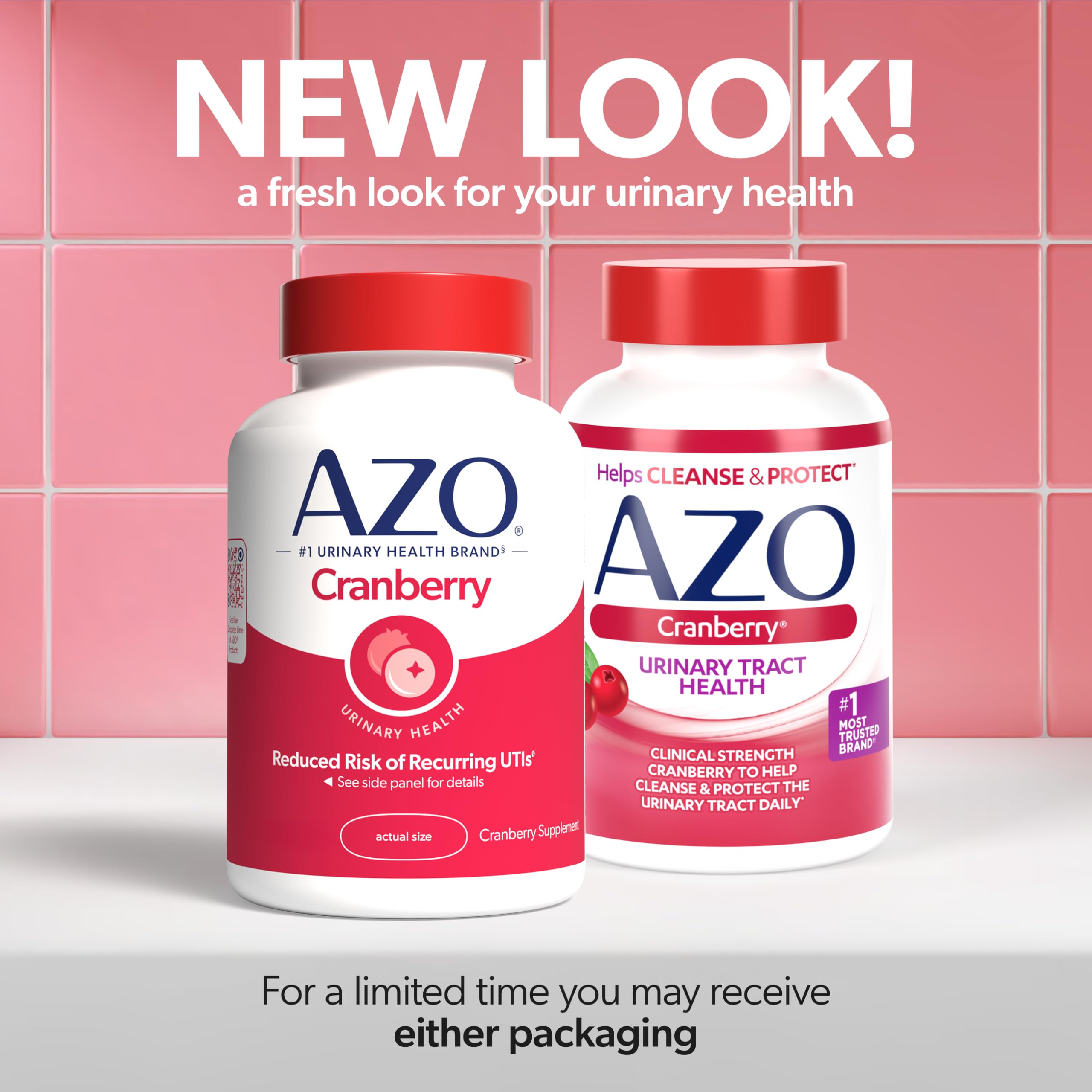 AZO Cranberry Supplement, Made with Concentrated Whole Fruit Cranberry Powder to Help Cleanse and Protect the Urinary Tract AZO buy supplements canada