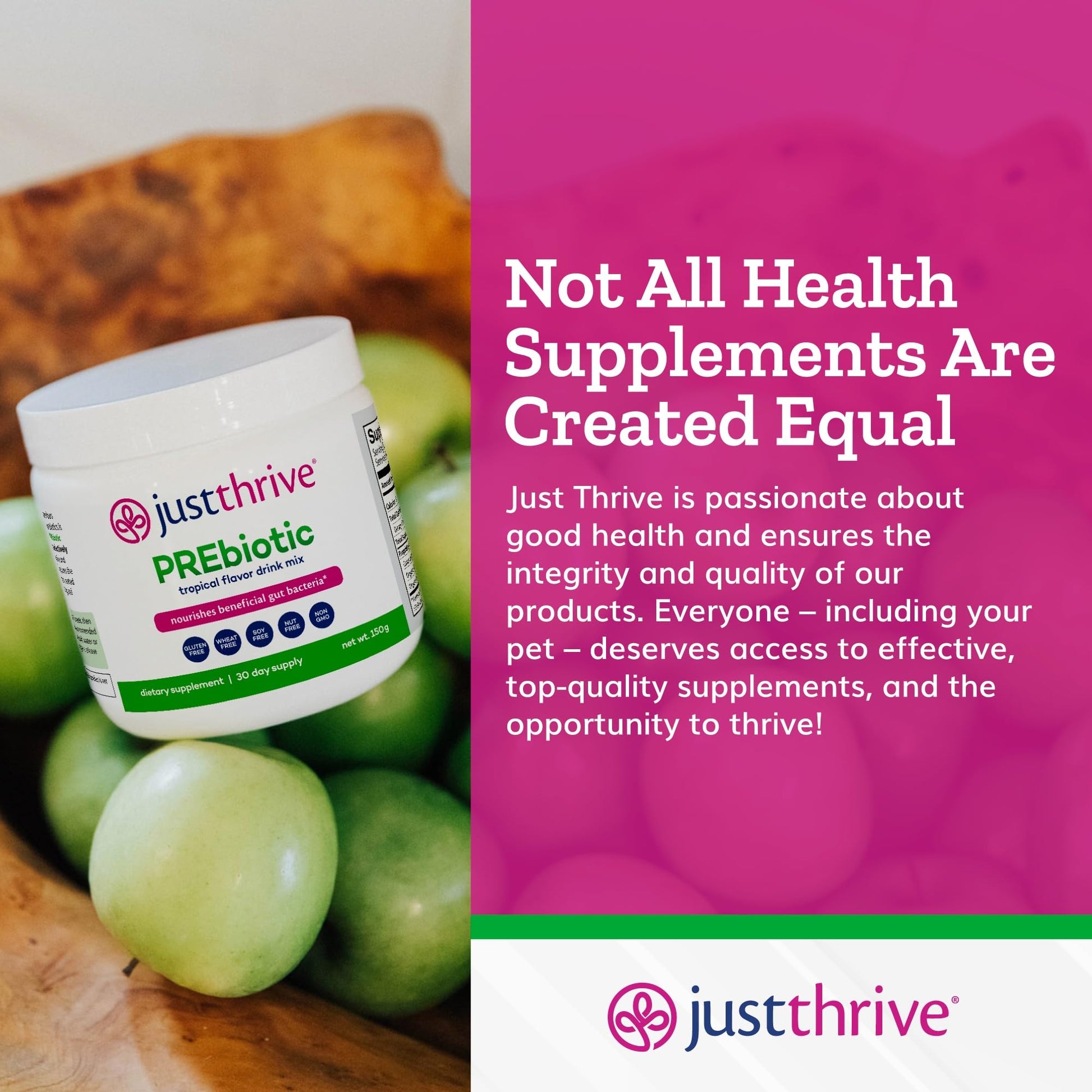 Just Thrive PREbiotic Powder - Digestive and Immune Support Supplement, 150 g Just Thrive buy supplements canada