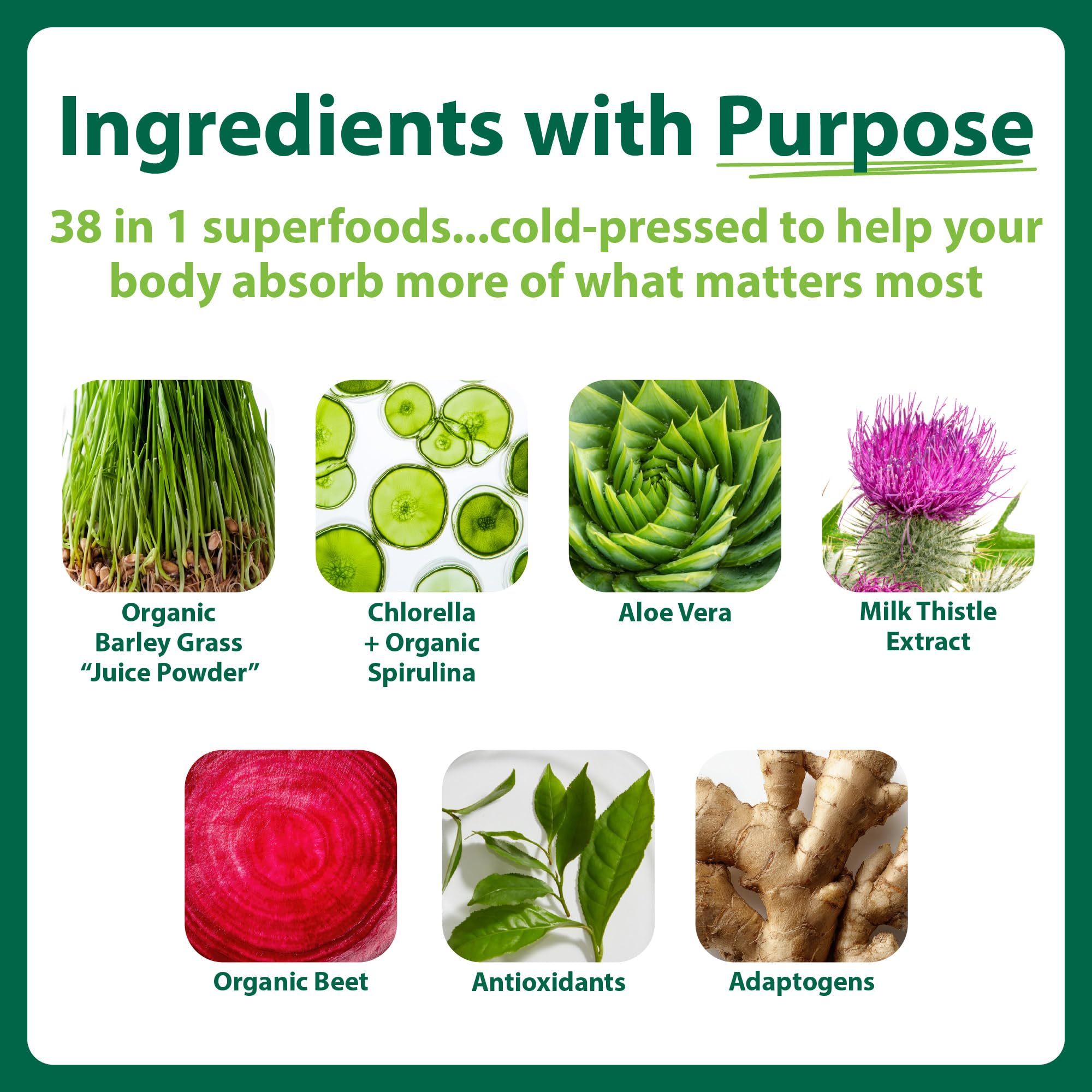 MacroLife Naturals Macro Greens Superfood Powder – 38 Superfoods with Probiotics, Digestive Enzymes & Adaptogens | Non GMO, Vegan, Gluten Free | 18B CFU | 10 oz (30 Servings) MacroLife Naturals buy supplements canada