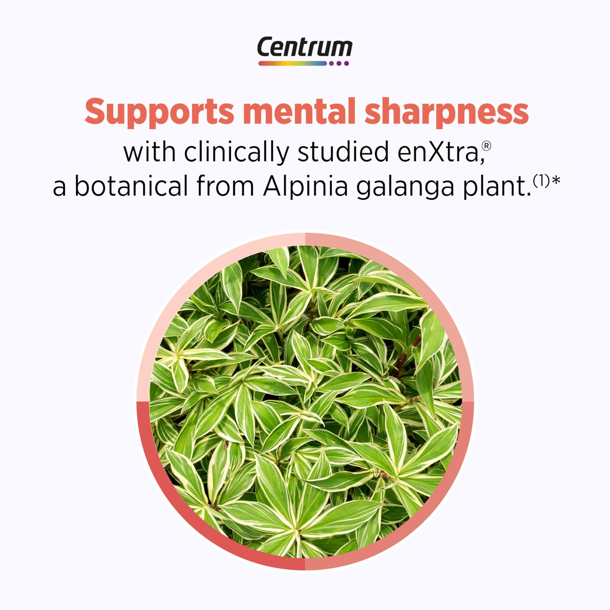 Centrum Clear Mind and Calm Mood Menopause Support Tablets, with Clinically Studied enXtra, 30 Count Centrum buy supplements canada