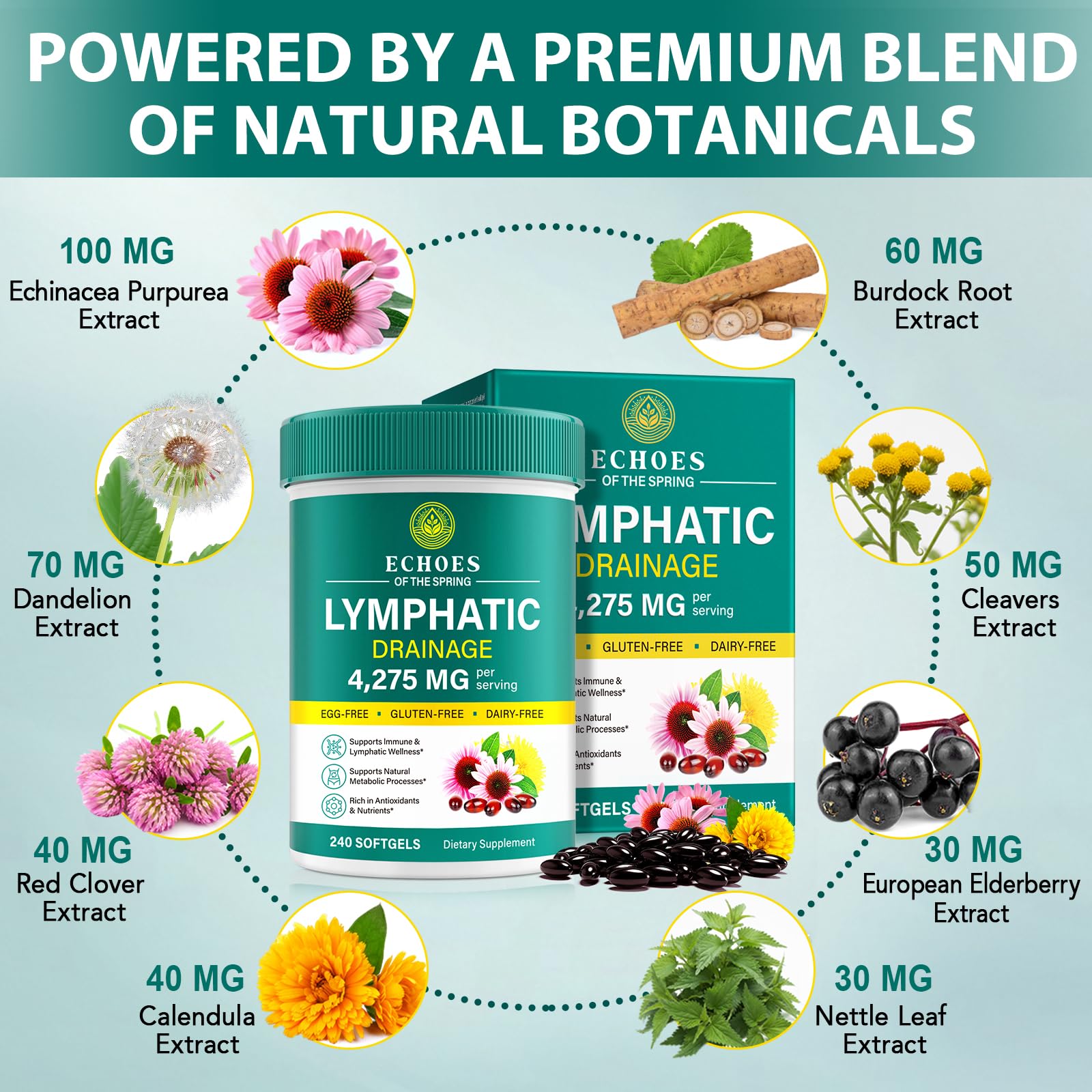 Lymphatic Drainage Supplements, 4275mg Lymph System Support Supplement for Women & Men, Daily Wellness Support, 21-in-1 Herbal Blend with Echinacea, Dandelion, Burdock, Turmeric & More, 240 Softgels Echoes of the spring buy supplements canada