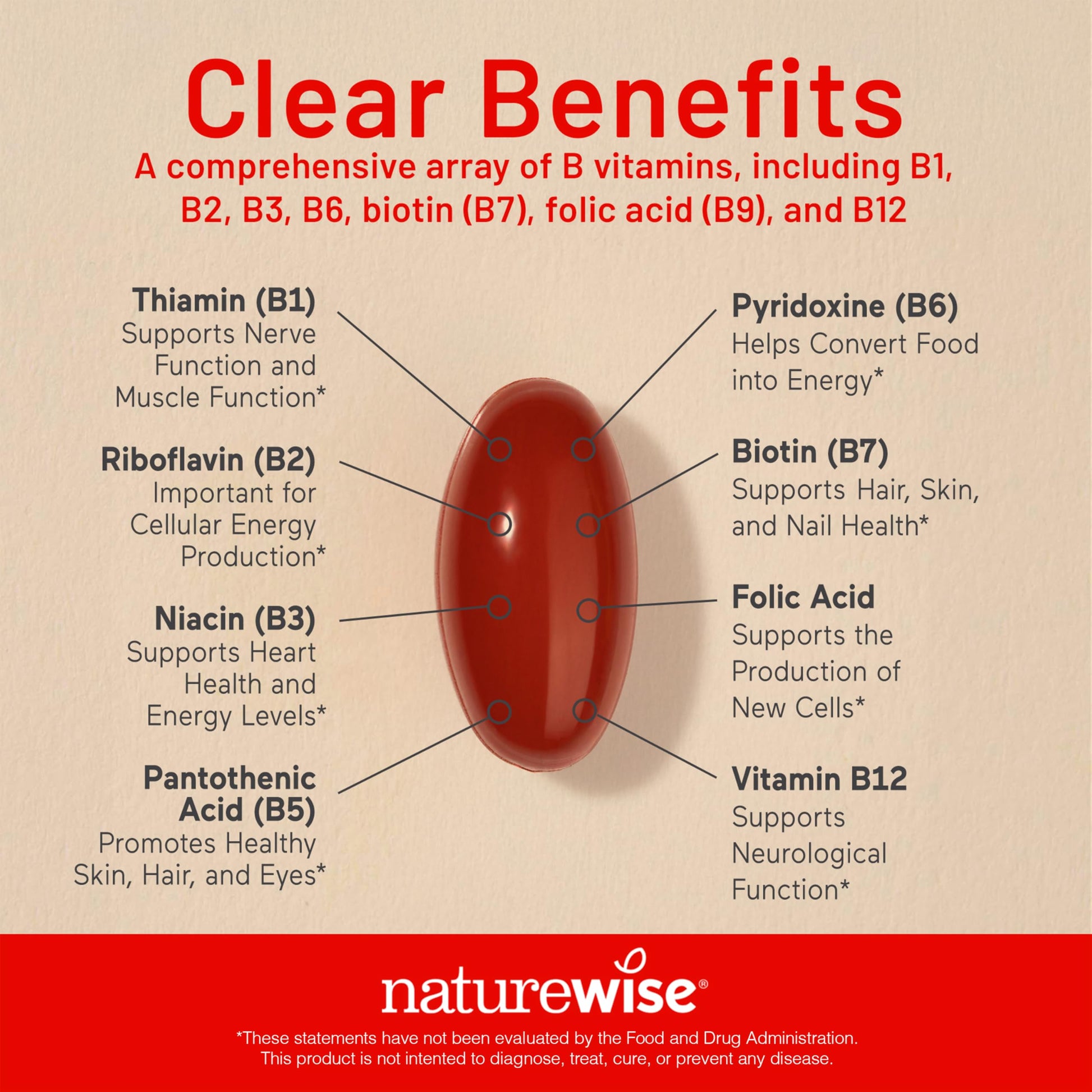 NatureWise Vitamin B Complex for Women and Men - with Folic Acid Biotin B1 B2 B3 B6 B12 - Support Cellular Energy & Mental Clarity - Gluten & Dairy Free NatureWise buy supplements canada