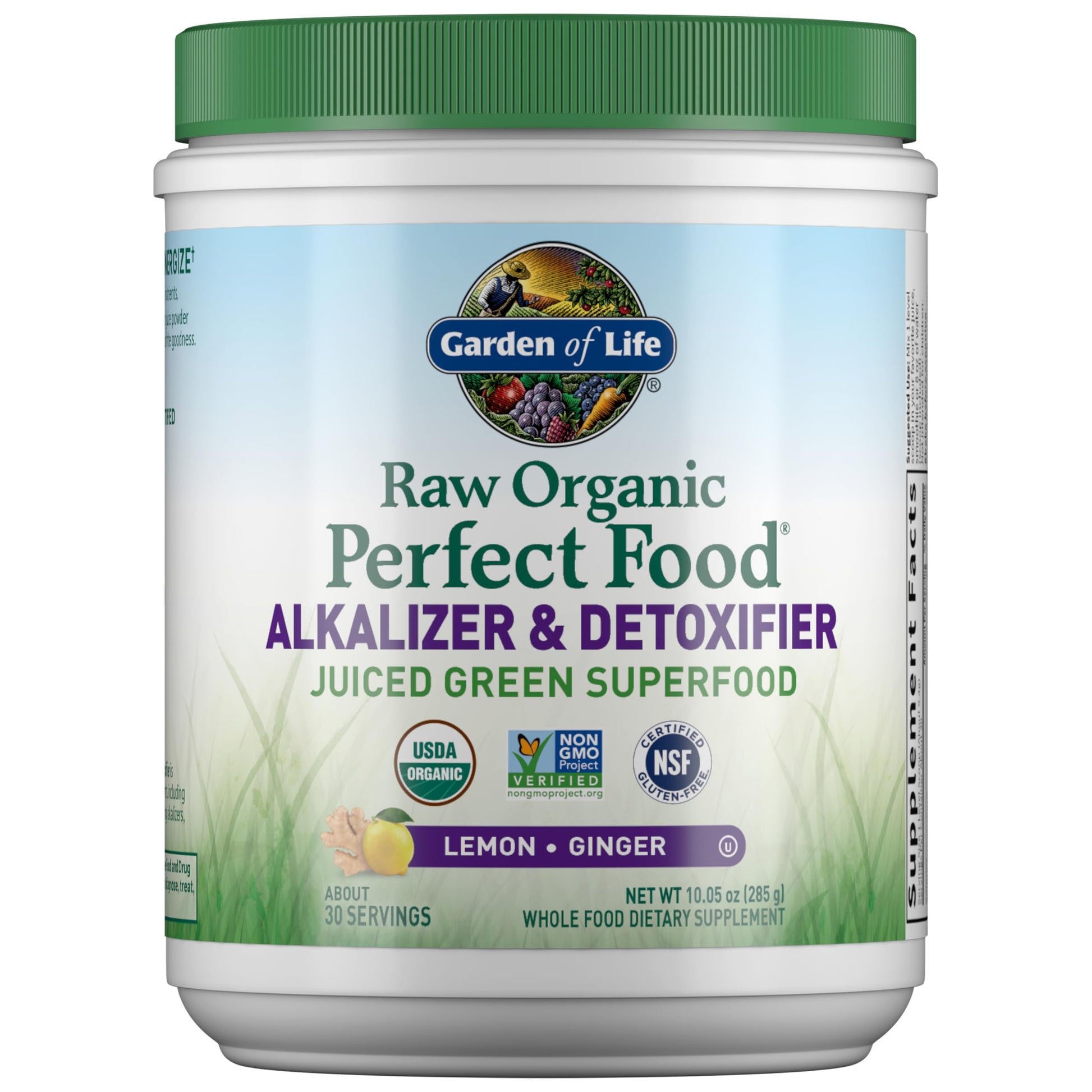 Garden of Life Raw Organic Perfect Food Alkalizer and Detoxifier, Lemon Ginger Flavored Superfood Powder Supplement, 30 Servings Garden of Life buy supplements canada