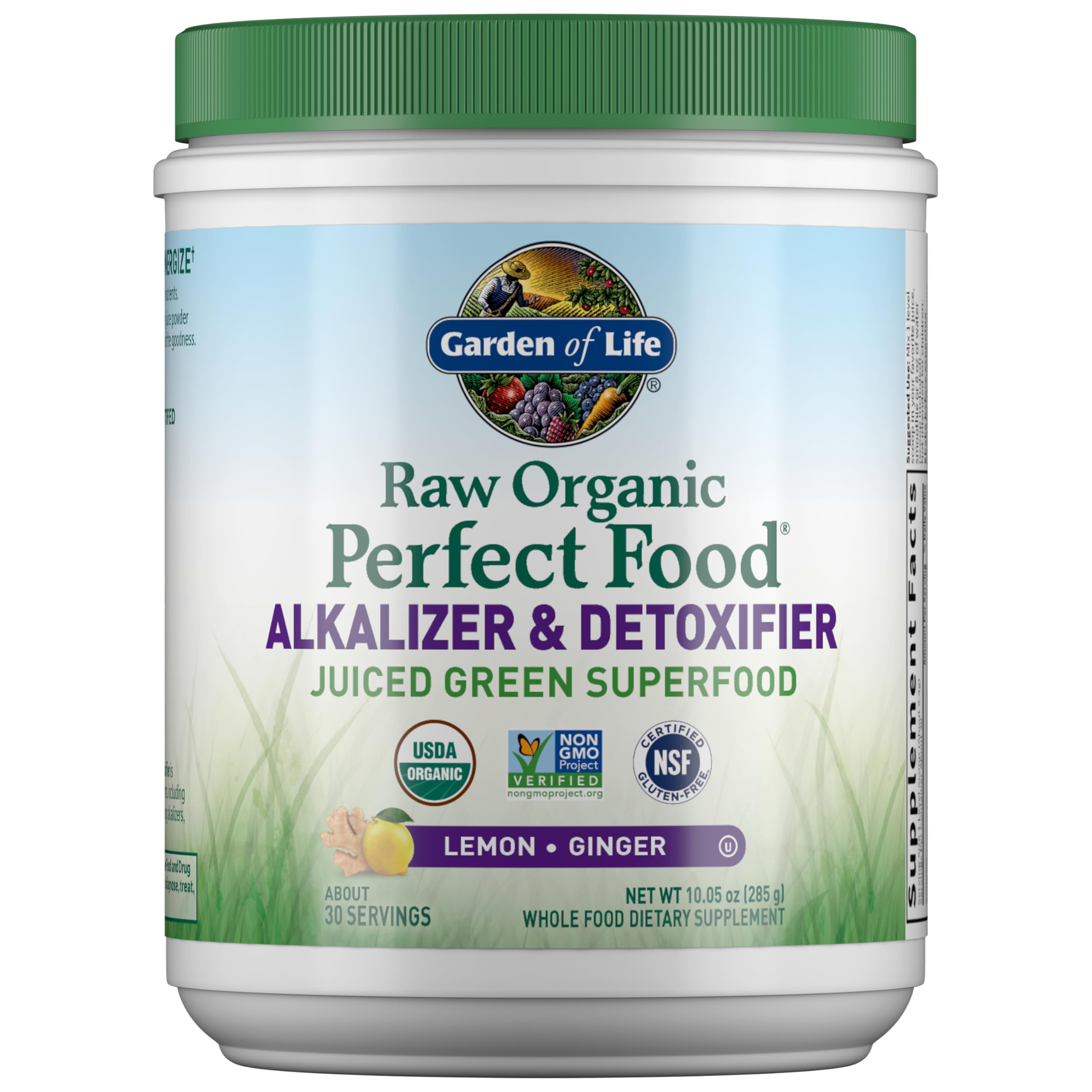 Garden of Life Raw Organic Perfect Food Alkalizer and Detoxifier, Lemon Ginger Flavored Superfood Powder Supplement, 30 Servings Garden of Life buy supplements canada