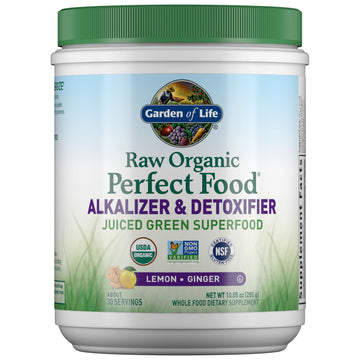Garden of Life Raw Organic Perfect Food Alkalizer and Detoxifier, Lemon Ginger Flavored Superfood Powder Supplement, 30 Servings Garden of Life buy supplements canada