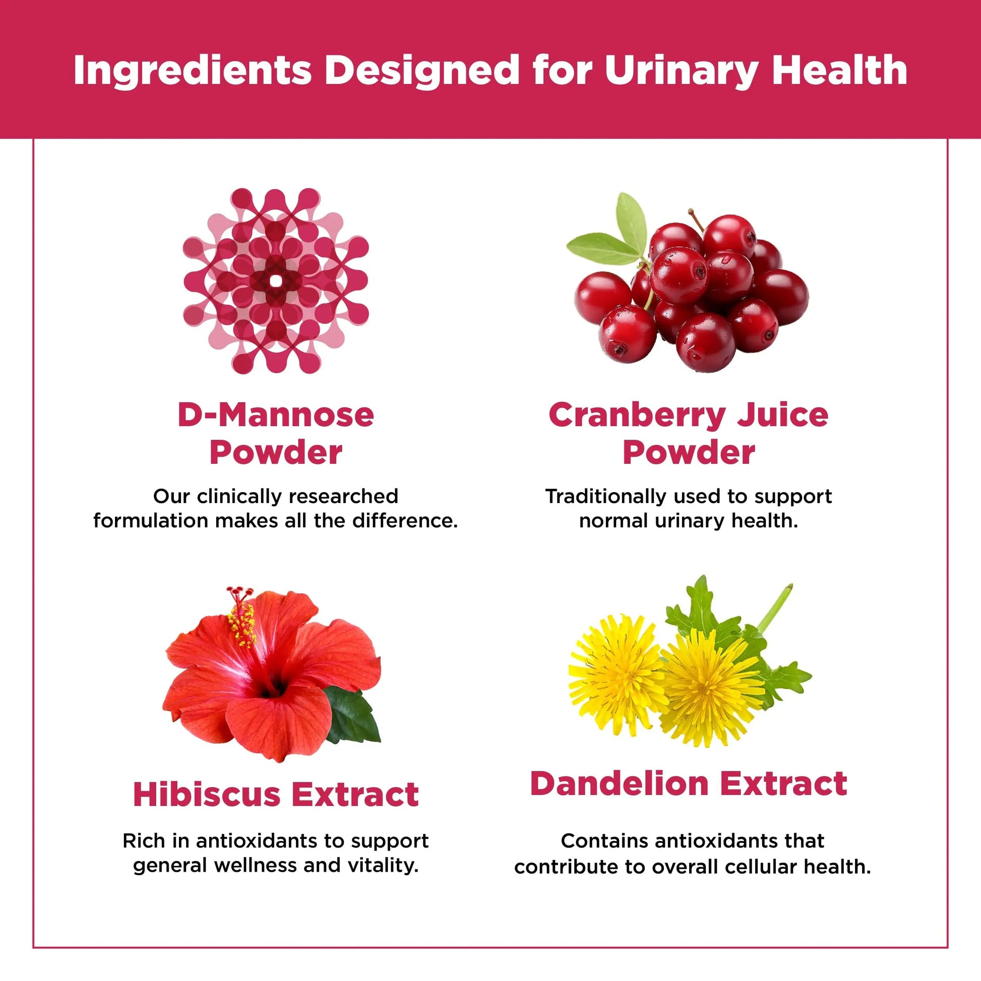 Plantvital D Mannose Capsules with Cranberry - D-mannose 1000mg Capsules - High Potency for Bladder, Kidney and Urinary Tract Support. Cranberry Powder with Hibiscus and Dandelion. 2 Months Supply Plantvital buy supplements canada