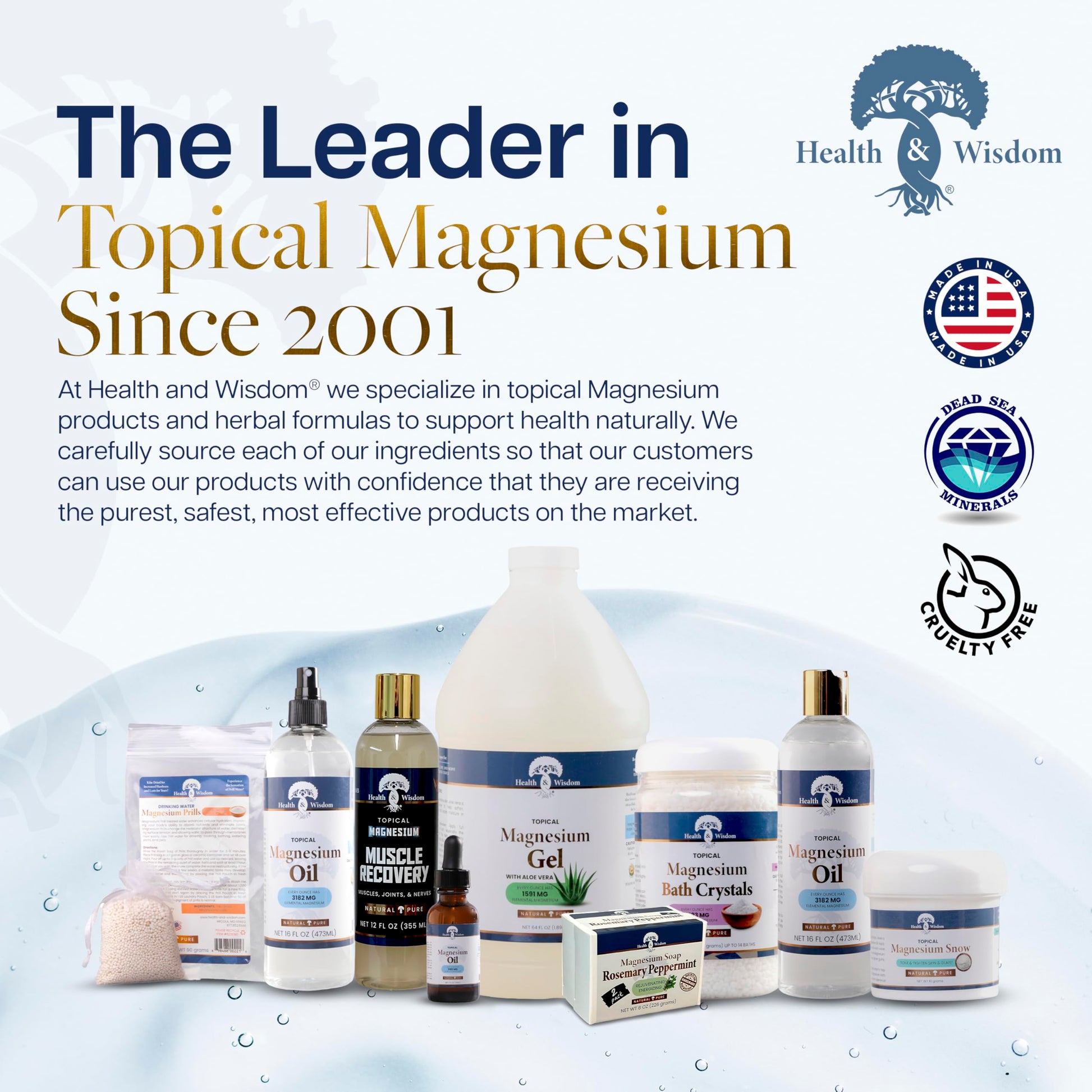 Health and Wisdom Pure Magnesium Gel with Seaweed Extract and Aloe Vera - Topical Muscle & Joint Relief- Natural and Pure Skin & Scalp Moisturizing - Enhanced Absorption - 12 Fl oz Health and Wisdom buy supplements canada