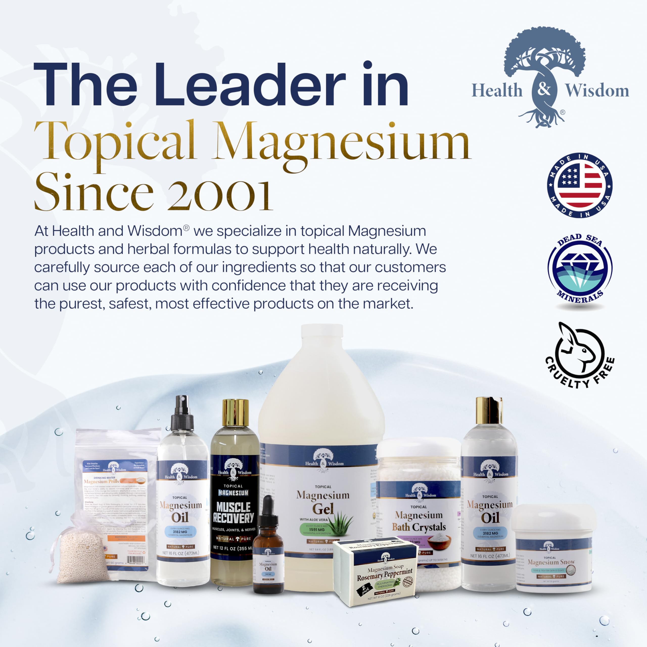 Health and Wisdom Pure Magnesium Gel with Seaweed Extract and Aloe Vera - Topical Muscle & Joint Relief- Natural and Pure Skin & Scalp Moisturizing - Enhanced Absorption - 12 Fl oz Health and Wisdom buy supplements canada