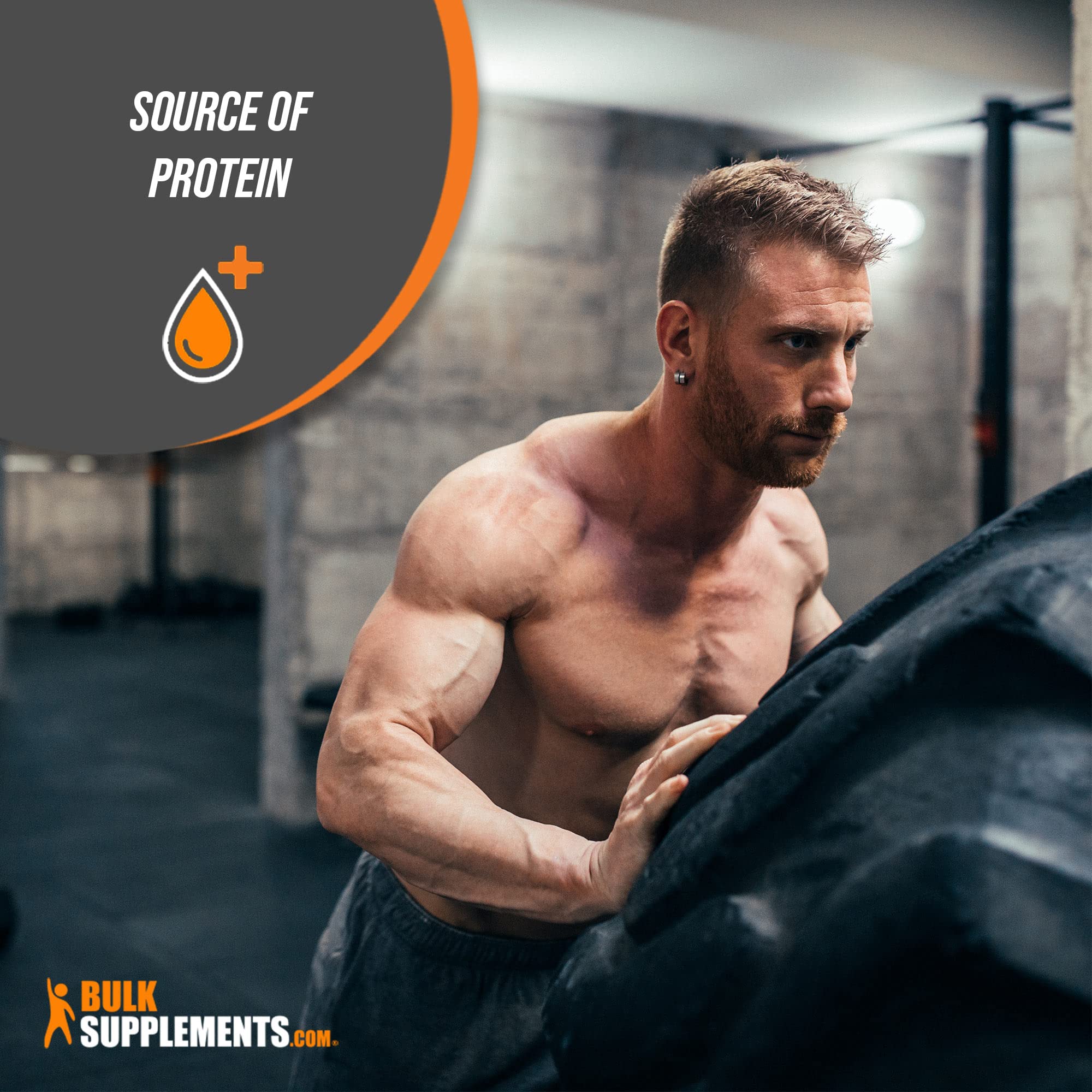 BulkSupplements.com Hydrolyzed Whey Protein Isolate - Whey Isolate Protein Powder BULKSUPPLEMENTS.COM buy supplements canada