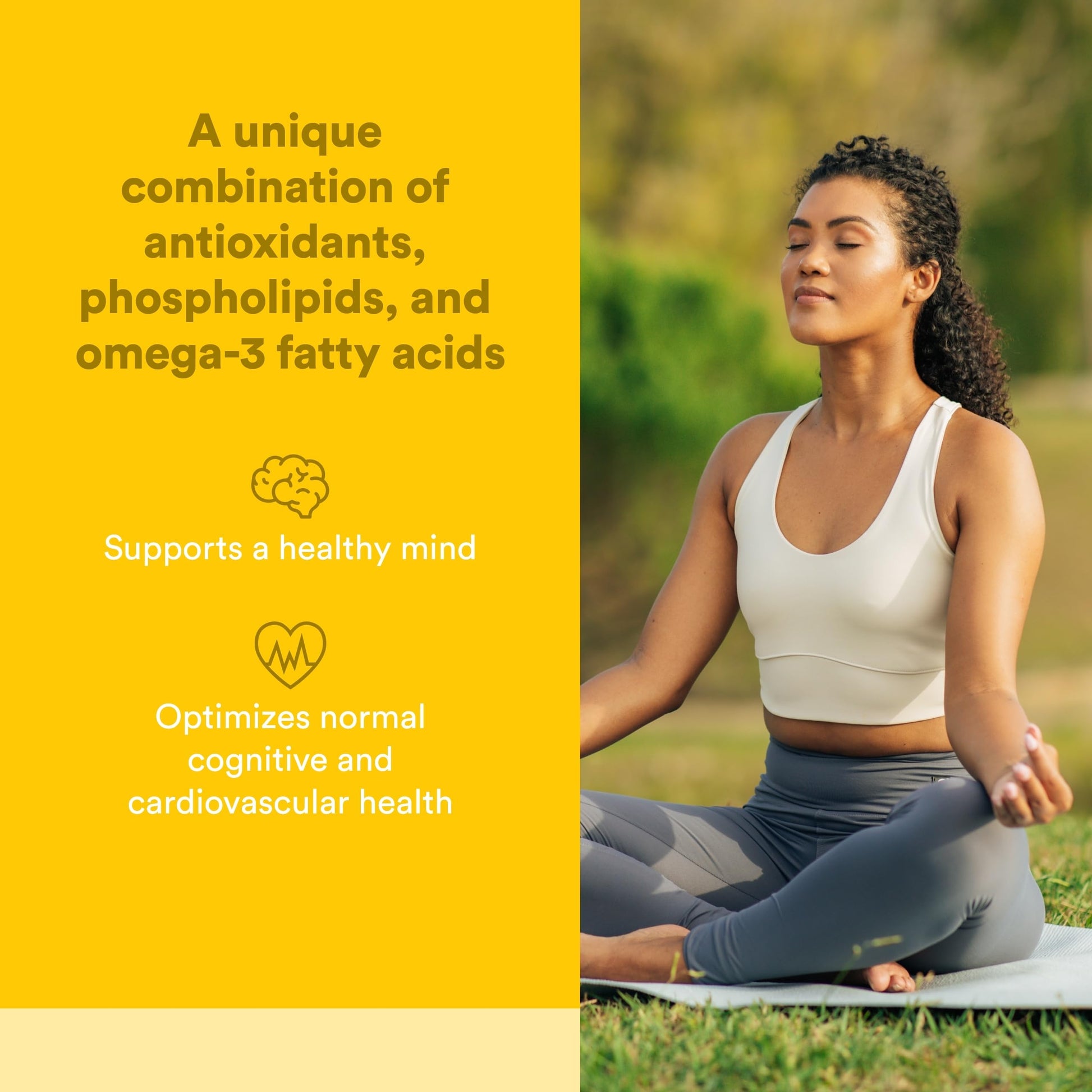 Natural Factors Higher Thoughts - Supports Cognitive & Cardiovascular Health* - Fish Oil, Fatty Acids, EPA, DHA & More - 90 Softgels Natural Factors buy supplements canada
