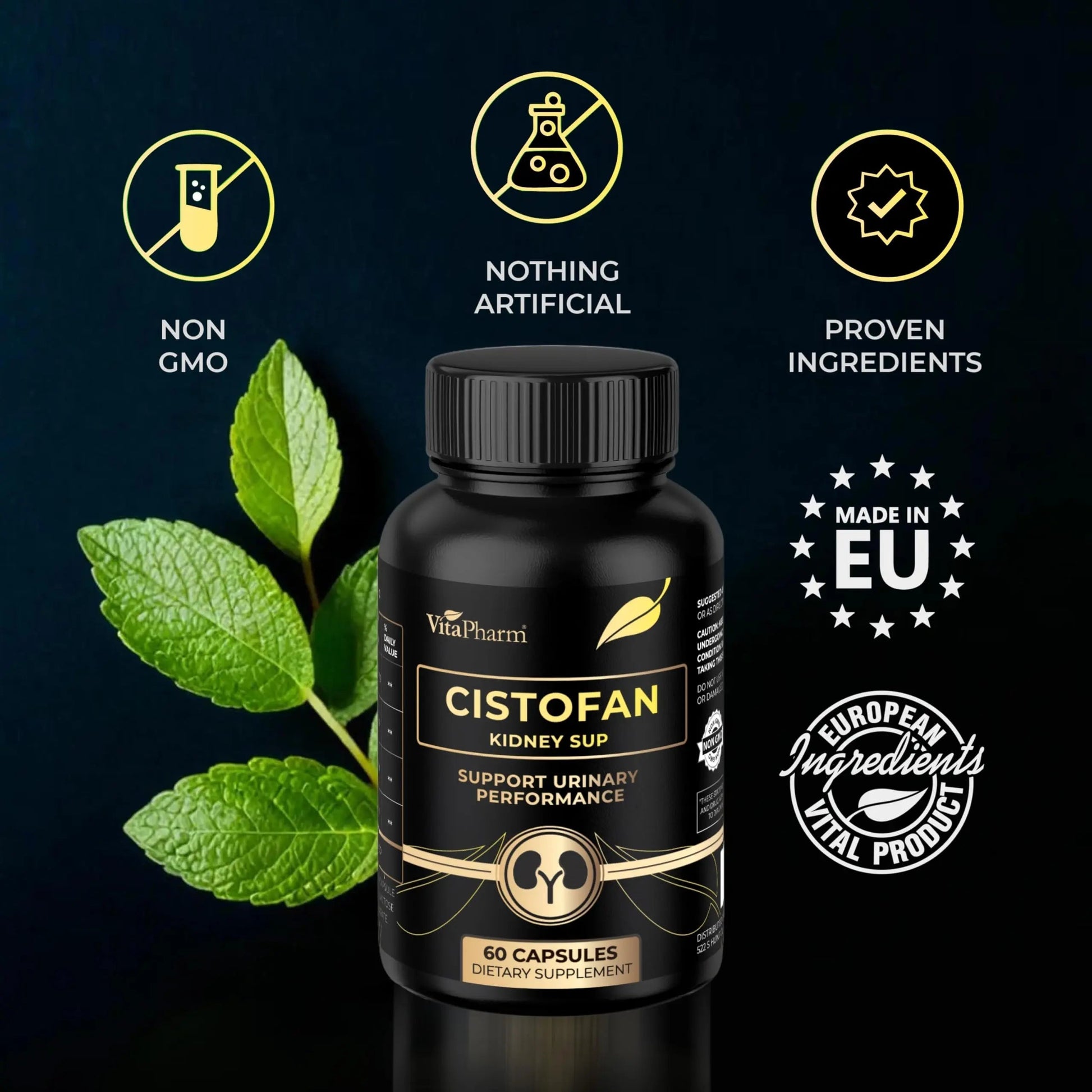 CISTOFAN Kidney Support Supplement – Herbal Formula with Java Tea, Birch Leaf, Parsley & Cranberry – Supports Urinary Tract & Kidney Function – Natural Diuresis – 60 Capsules – Non-GMO – Made in EU VitaPharm buy supplements canada