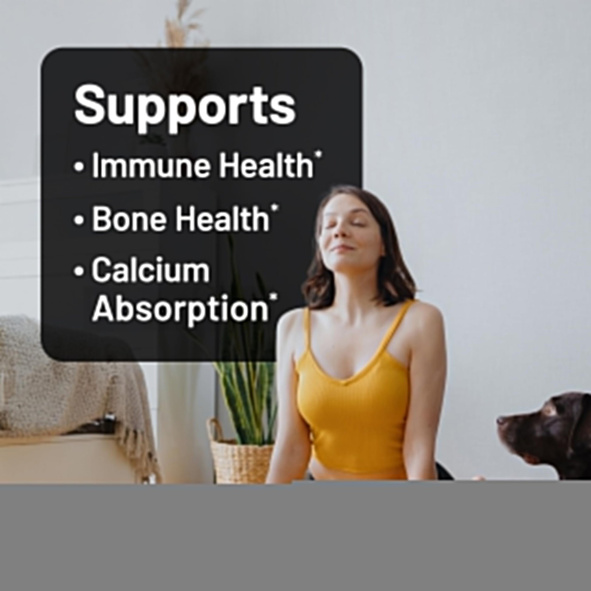 NatureWise Vitamin D3 5000iu (125 mcg) 1 Year Supply for Immune Support, Healthy Muscle Function, and Bone Health - Non-GMO NatureWise buy supplements canada