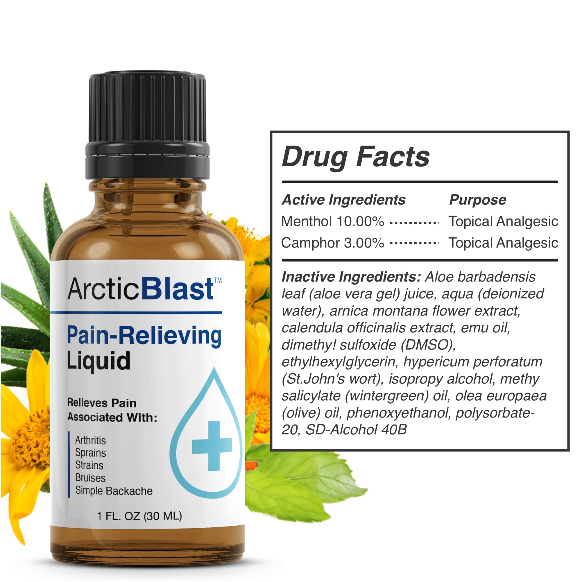 N Labs Arctic Blast Premium Topical Pain Relief Drops – Fast Absorbing DMSO, Menthol & Camphor for Back, Knee, Shoulder, Joint & Muscle Pain – Cooling Rub Formula – Made in USA – 1 fl oz N-Labs buy supplements canada