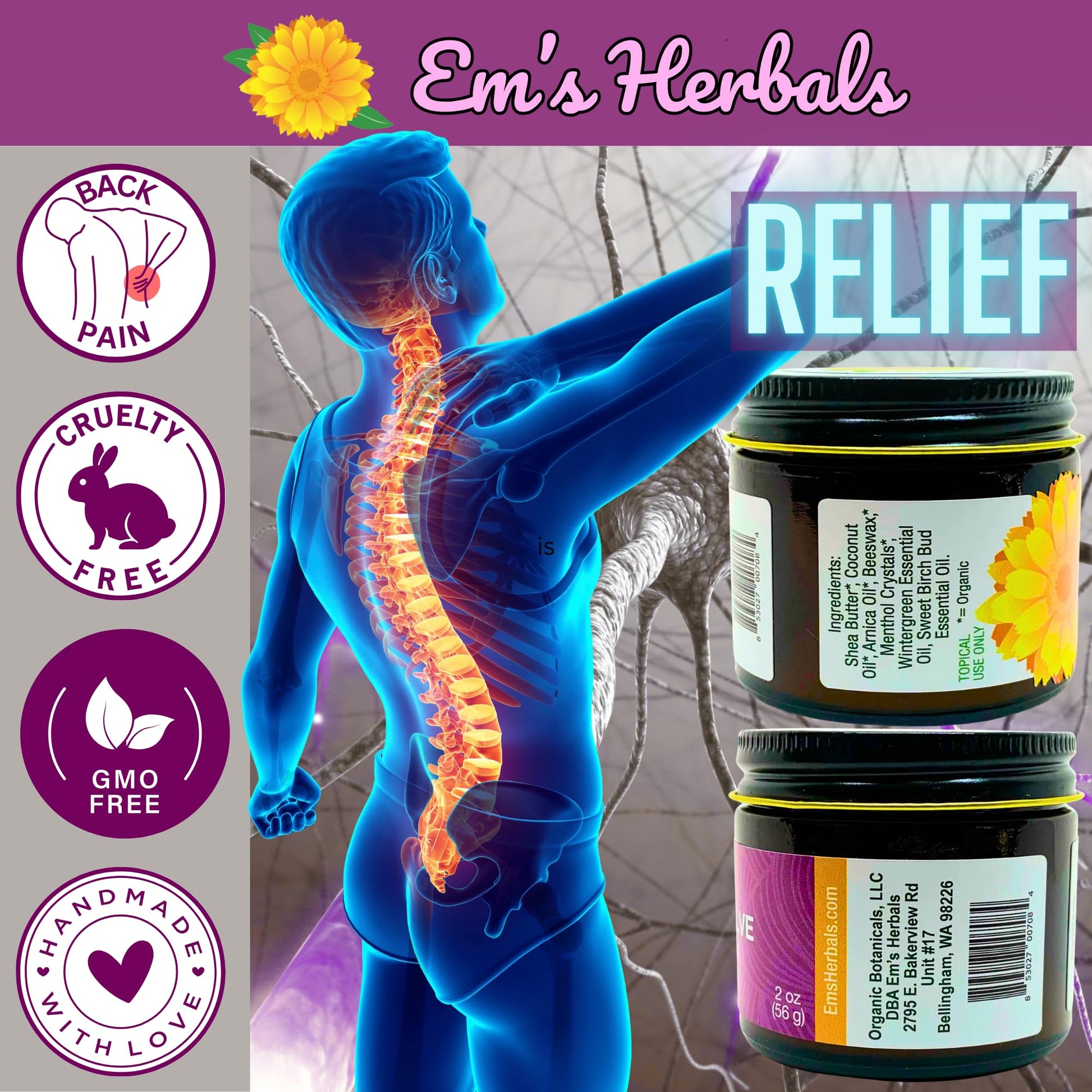 Em's Herbals, Muscle & Joint Care Arnica Salve - Amplified Arnica Salve Made with Menthol Crystals, and Effective Essential Oils to Penetrate Deep into Muscles, Joints, and Back Discomfort (2 oz) Em's Herbals buy supplements canada