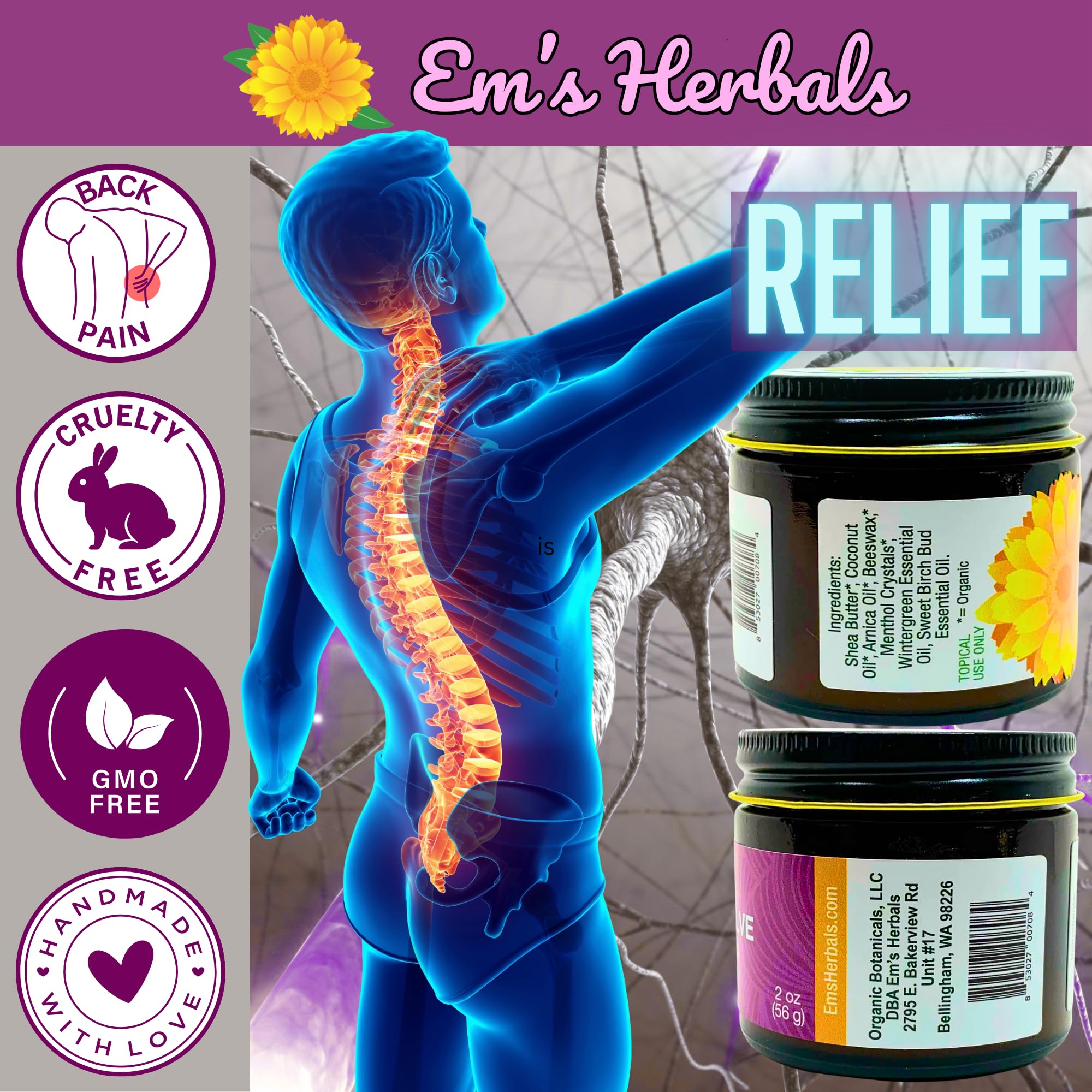 Em's Herbals, Muscle & Joint Care Arnica Salve - Amplified Arnica Salve Made with Menthol Crystals, and Effective Essential Oils to Penetrate Deep into Muscles, Joints, and Back Discomfort (2 oz) Em's Herbals buy supplements canada
