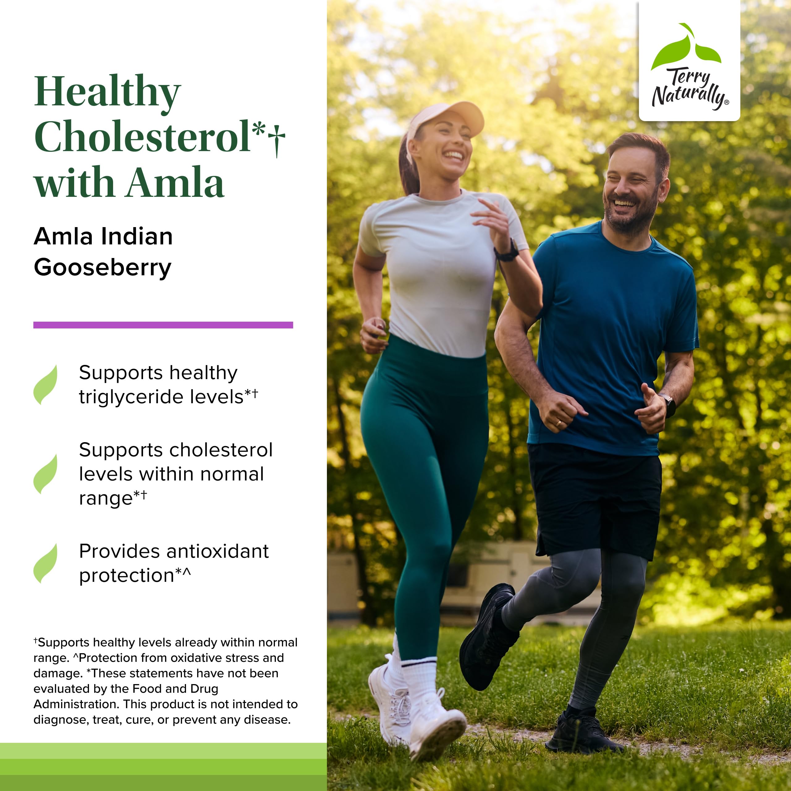 Terry Naturally Healthy Cholesterol with Amla - Antioxidant Supplement for Immune & Heart Support - Supplement to Aid Healthy Cholesterol & Triglyceride - 60 Capsules Terry Naturally buy supplements canada