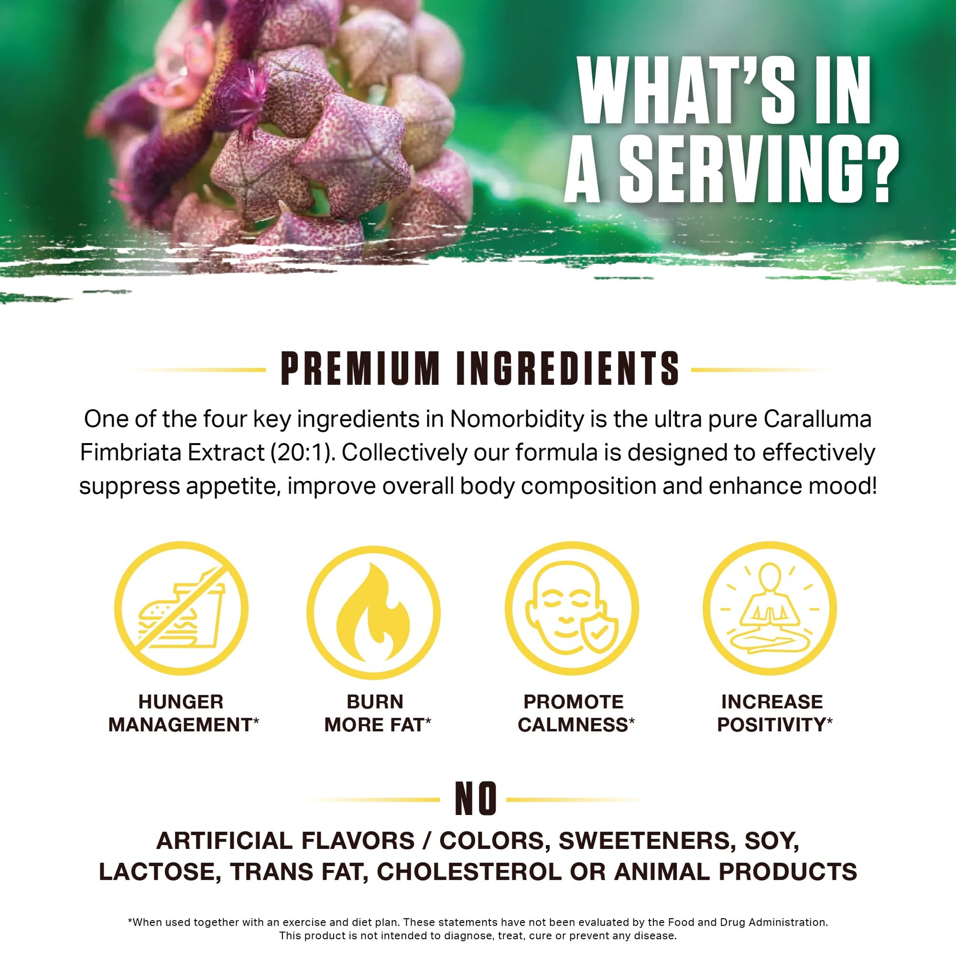 Ambrosia Nomorbidity Advanced Appetite Control & Hunger Management Formula Ambrosia buy supplements canada