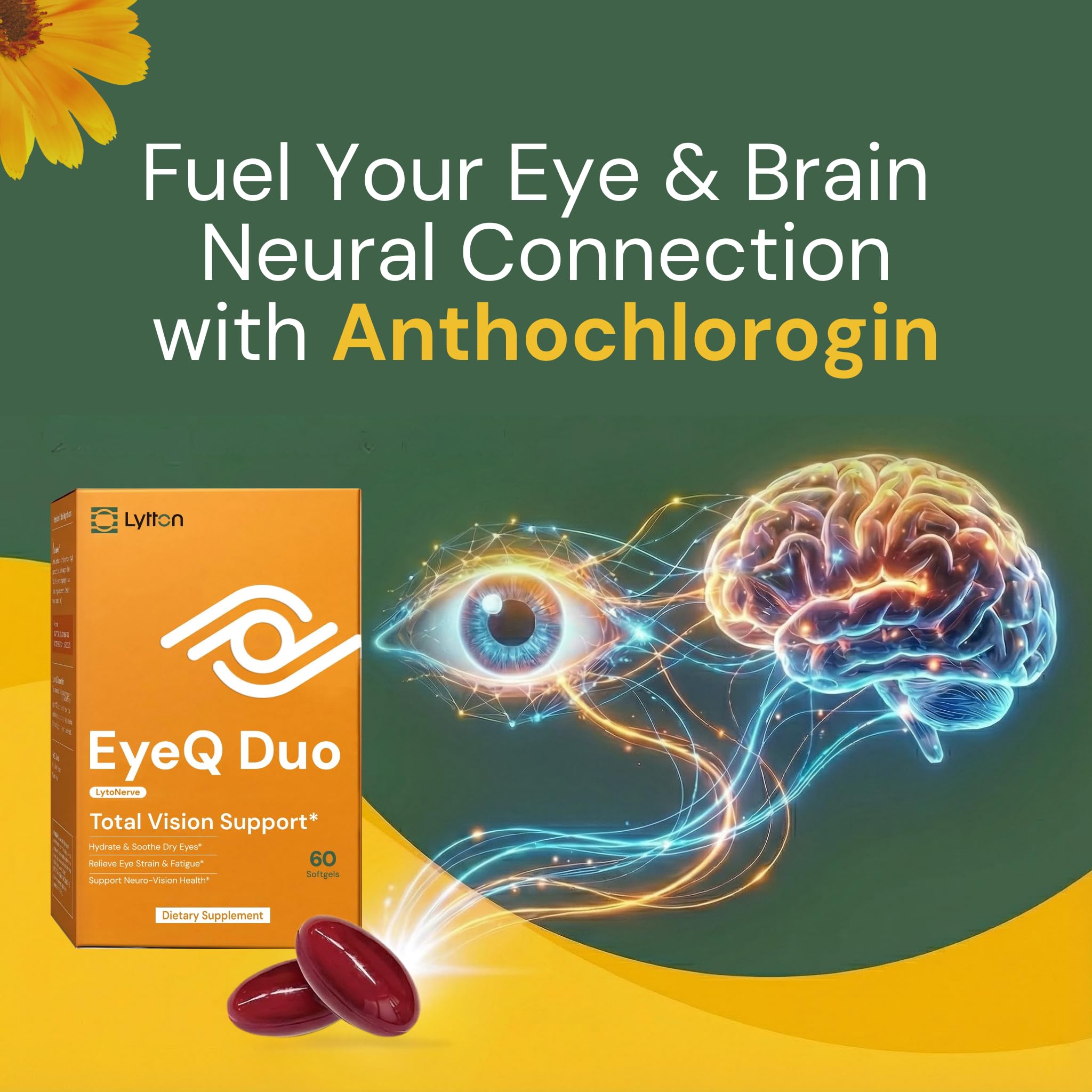 LYTTON EyeQ Duo Digital Eye & Focus Support – Patented Anthochlorogin for Brain-Eye Connection, Promotes Ocular Vitality – Rapid Visual Comfort & Natural Formula for Screen Users, 60 Softgels LYTTON buy supplements canada