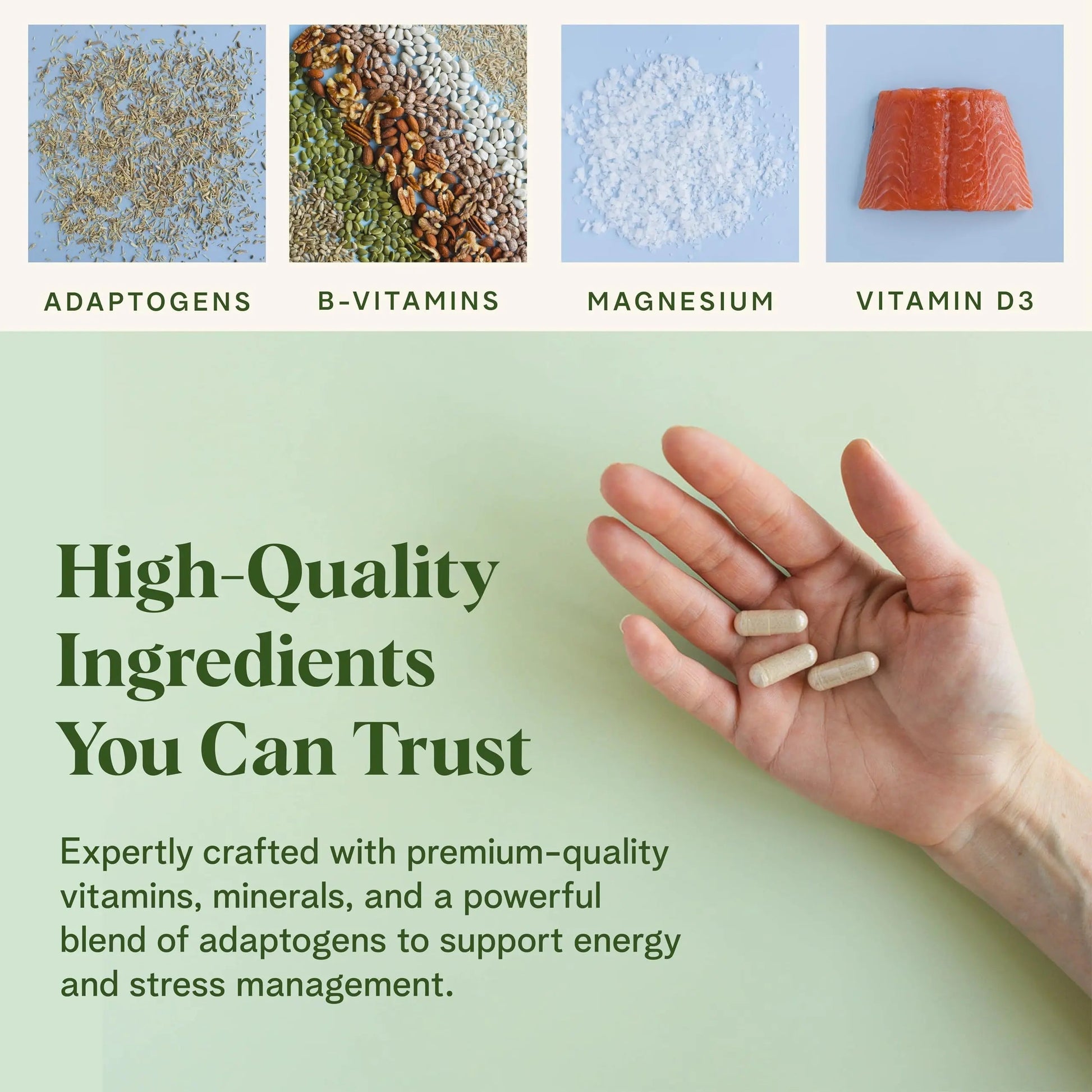 Healthy Response Daily Response Multivitamin 90 Capsules - Multivitamin + Adaptogen Blend for Energy & Stress Support Healthy Response buy supplements canada