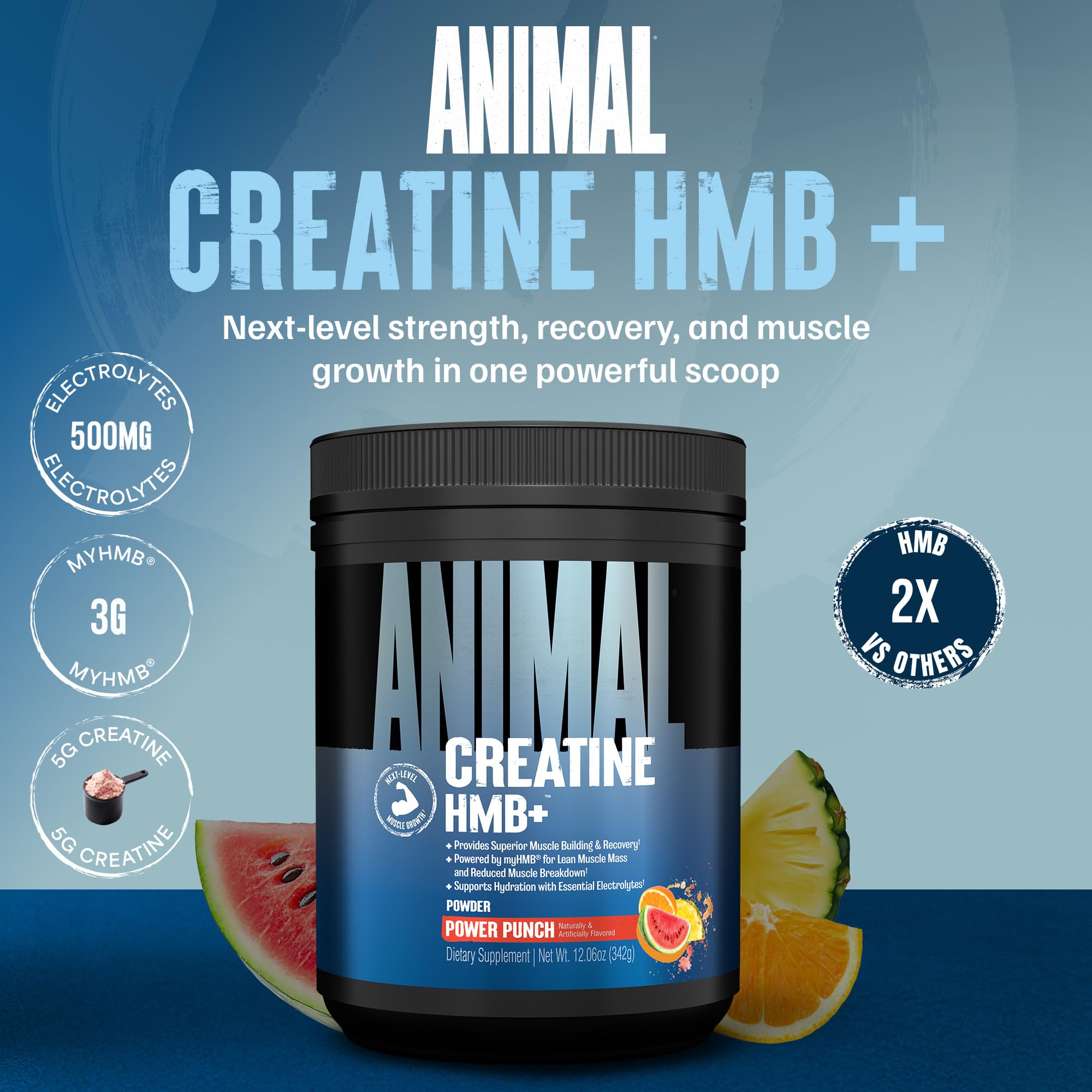 Animal Creatine HMB Powder – 3g myHMB + 5g Creatine with Electrolytes for Recovery & Daily Energy – Power Punch Flavor, 30 Servings Animal buy supplements canada
