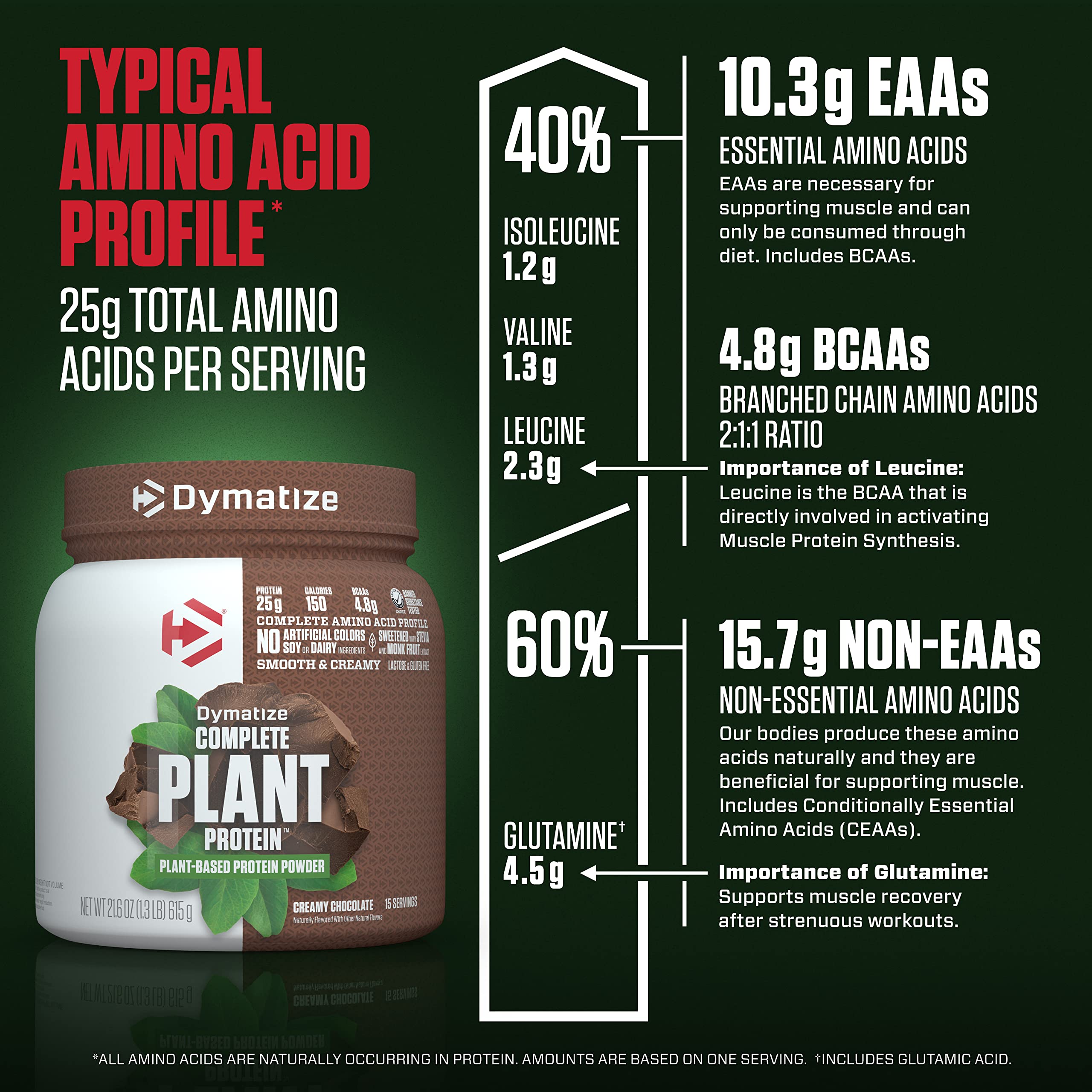 Dymatize Vegan Plant Protein, Creamy Chocolate, 25g Protein, 4.8g BCAAs, Complete Dymatize buy supplements canada