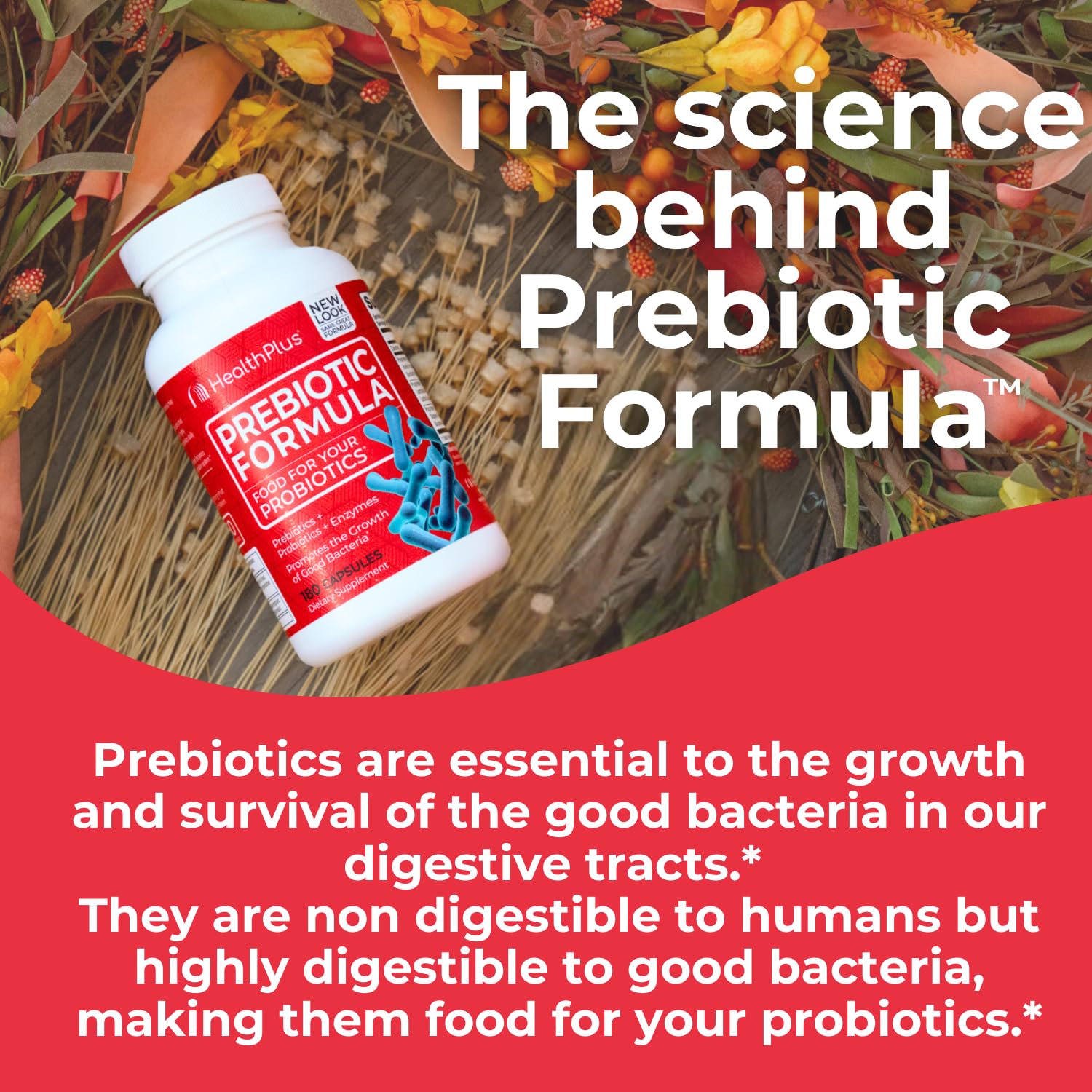 Health Plus Prebiotic Formula - Probiotics + Prebiotics + Digestive Enzymes - Gluten Free, Dairy Free, Natural Herbal Ingredients Health Plus buy supplements canada