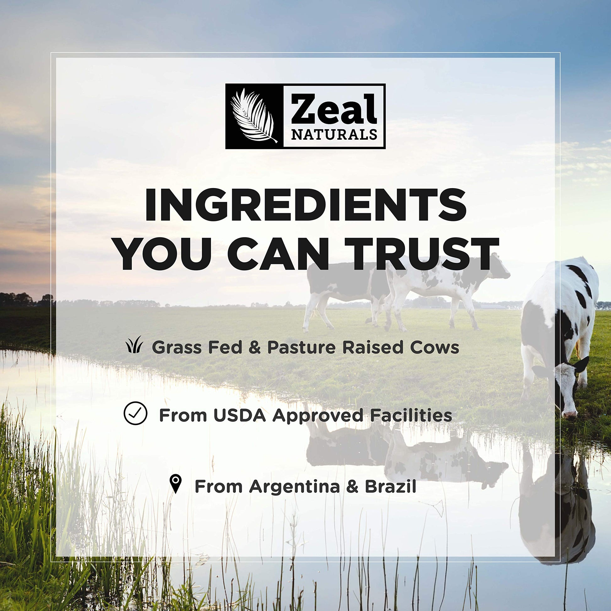 Zeal Naturals Collagen Peptides Collagen Pills (360 Capsules) Grass Fed Collagen Pepetide Powder - Hydrolyzed Collagen Powder for JointTendon SupplementHair Skin and Nails - Zeal Naturals buy supplements canada