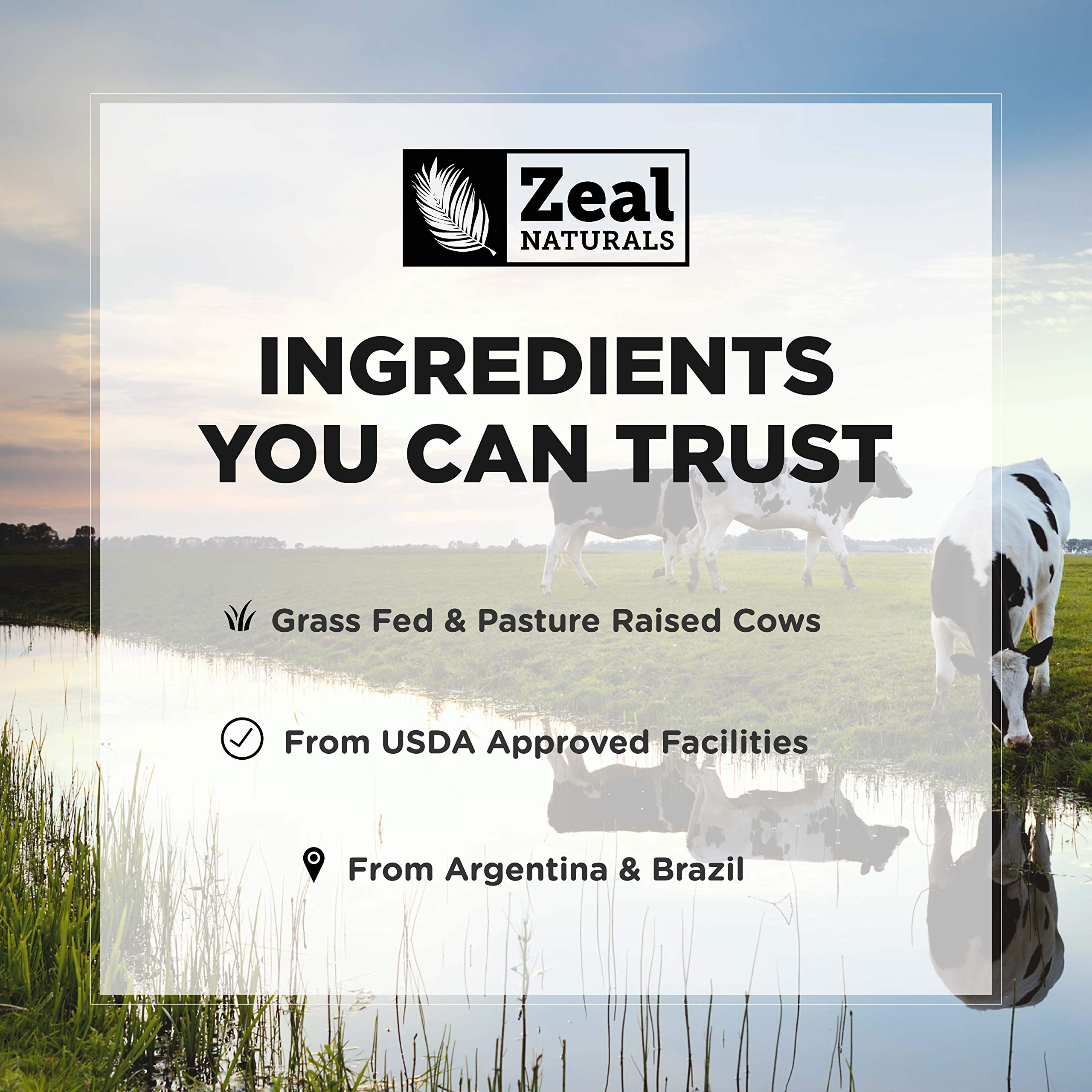 Zeal Naturals Collagen Peptides Collagen Pills (360 Capsules) Grass Fed Collagen Pepetide Powder - Hydrolyzed Collagen Powder for JointTendon SupplementHair Skin and Nails - Zeal Naturals buy supplements canada