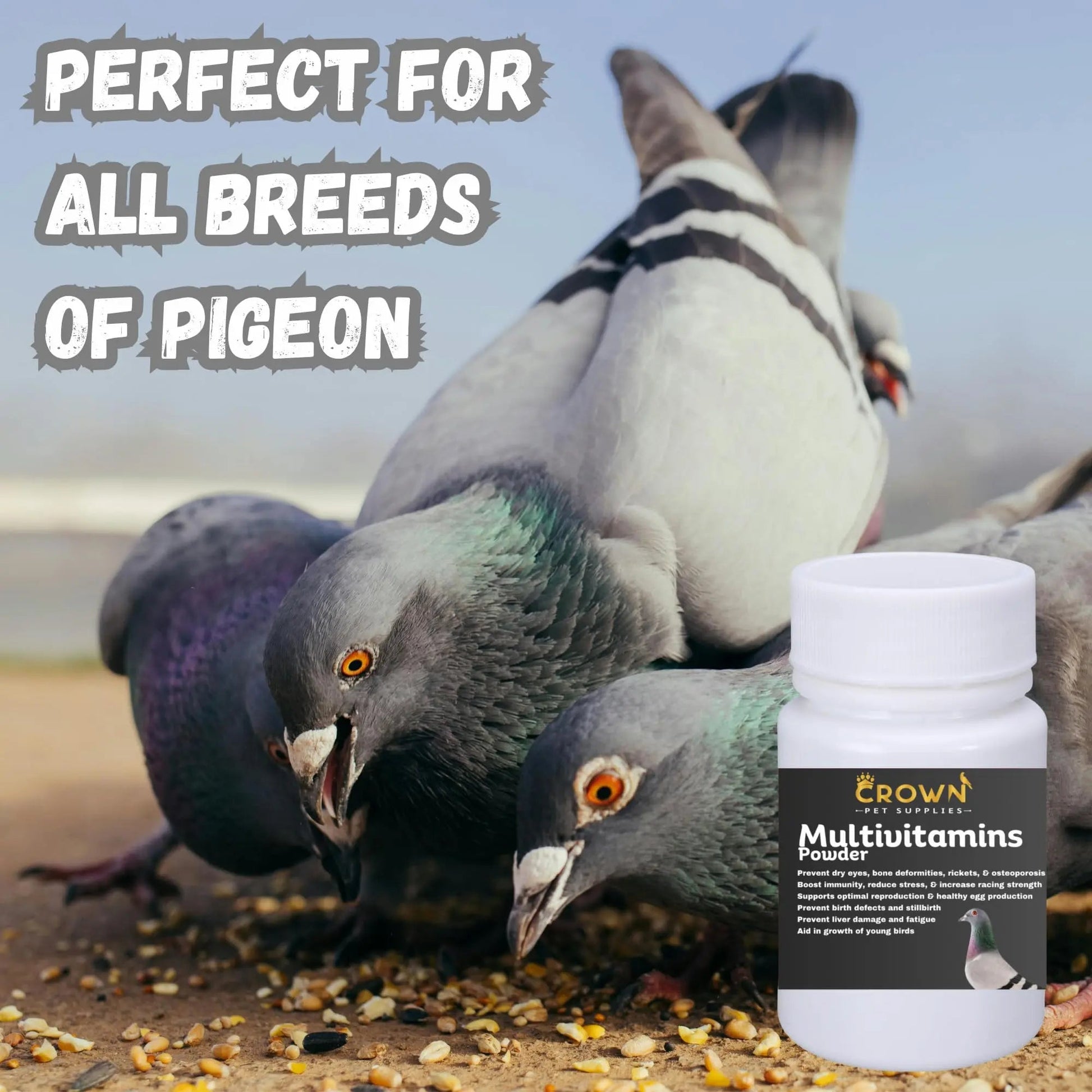 Multivitamin Powder for Pigeons – Ultimate Vitamin Formula for Racing & Breeding – Supports Growth, Bone Strength, Reproductive Health & Feather Health Crown Pet Supplies buy supplements canada