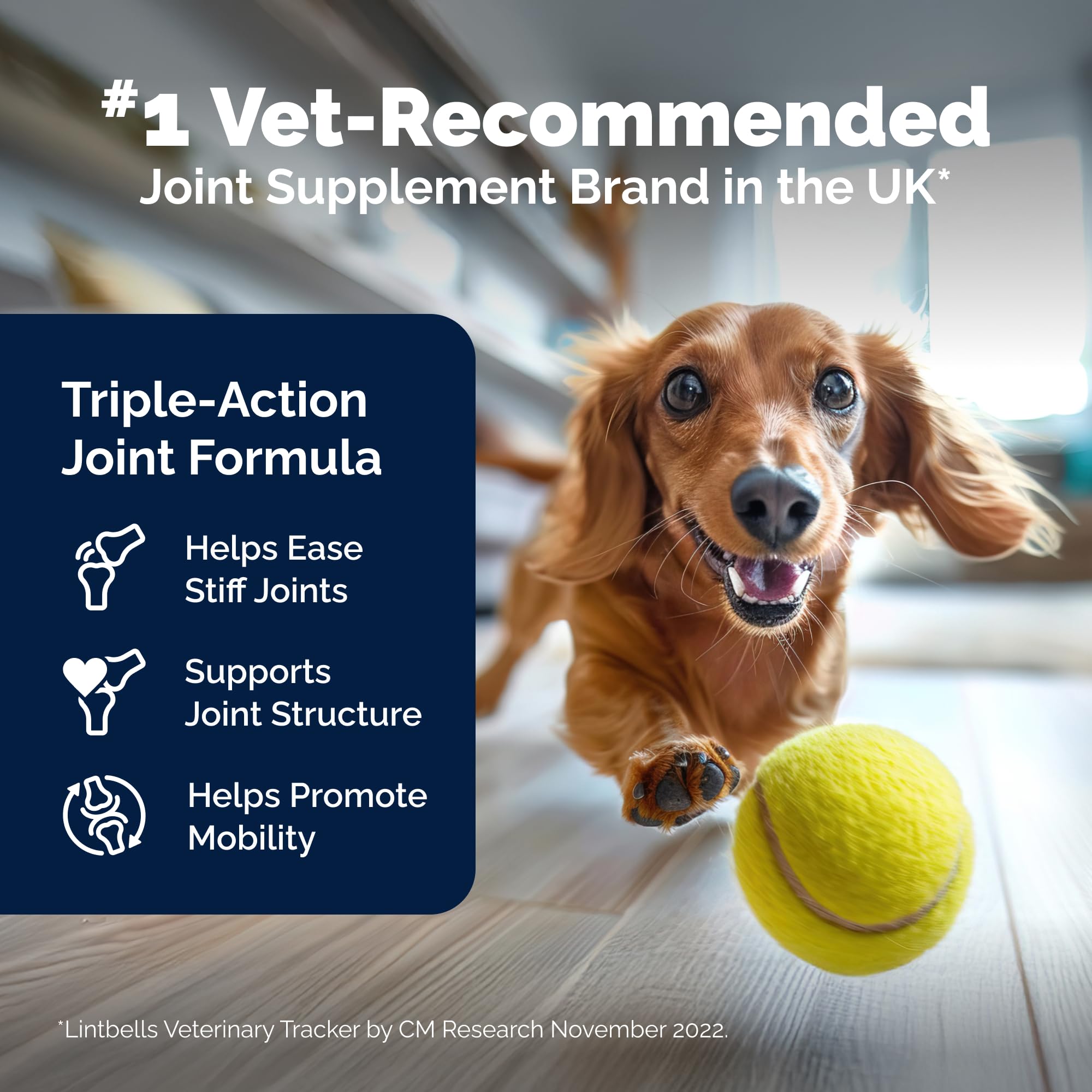 Yumove Hip & Joint Supplement for Dogs with Glucosamine, Hyaluronic Acid, Green Lipped Mussel & Omega 3 Joint Supplement - Regular or Advanced Strength (90 Count, Advanced Vet Strength Soft Chews) YuMOVE buy supplements canada