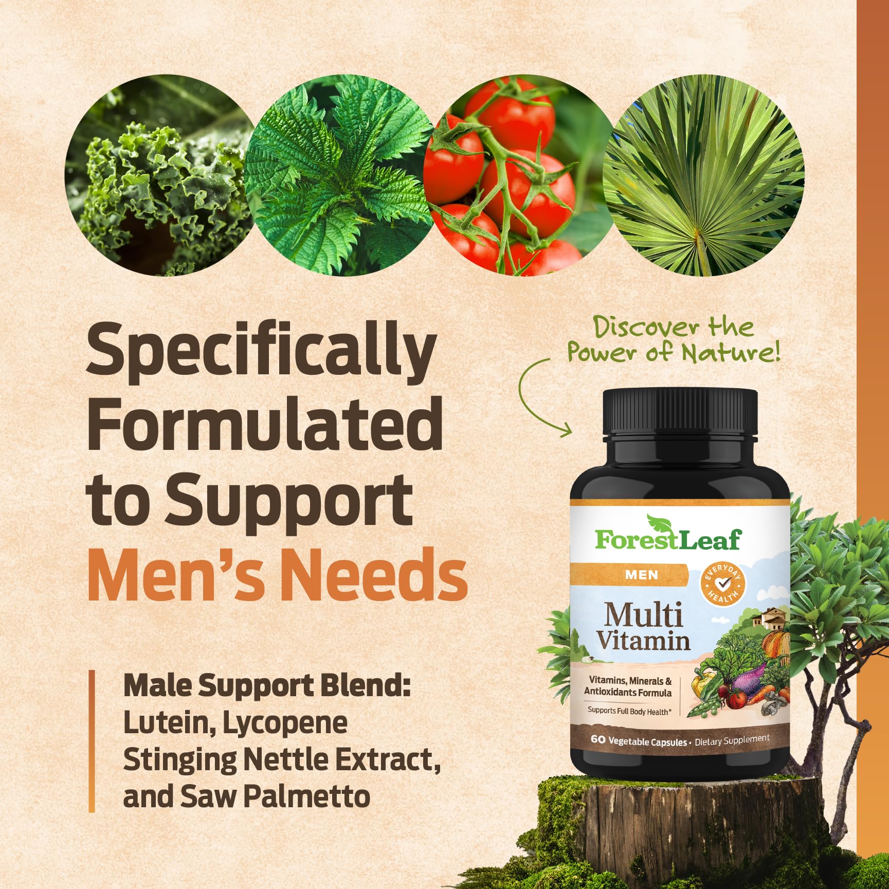 ForestLeaf Daily Vitamin Multivitamin for Men, Multi-Vitamin for Men - Mens Multivitamins & Multiminerals Supplement | All Essential Vitamins Needed for Health, Longevity & Energy | 60 Veg Caps ForestLeaf buy supplements canada