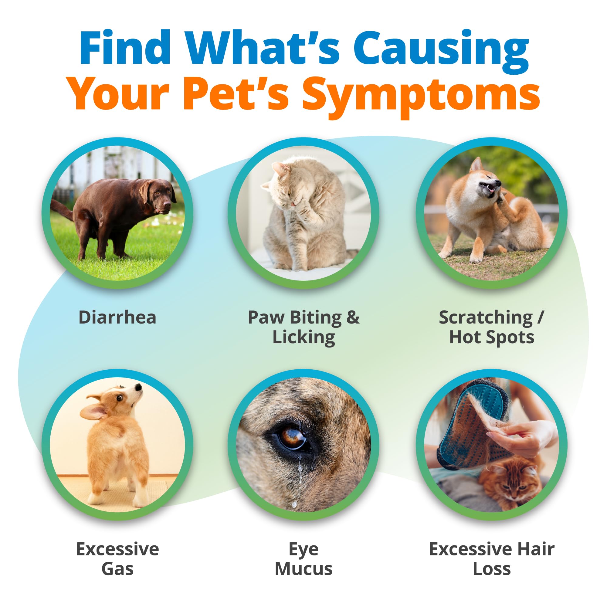 5Strands Raw & Fresh Pet Food Intolerance Test, at Home Gut Health Test for Dogs & Cats, 400+ Raw & Gently Cooked Fresh Food Items Tested, Accurate for All Ages & Breeds, Fast 4 Day Results 5Strands buy supplements canada