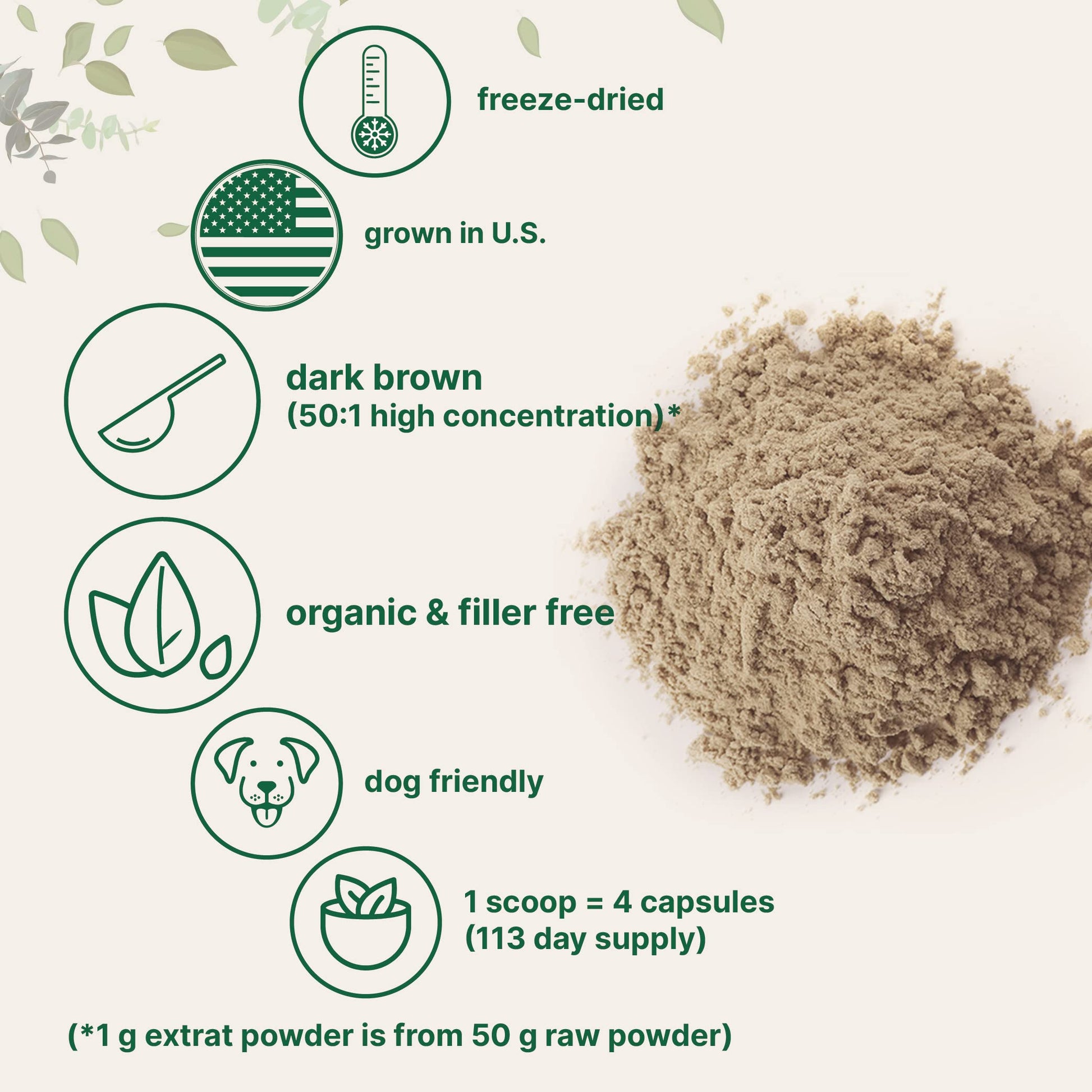 Organic Turkey Tail Mushroom Powder (50:1 Extract), 8 Ounce | Sustainably US Grown Micro Ingredients buy supplements canada