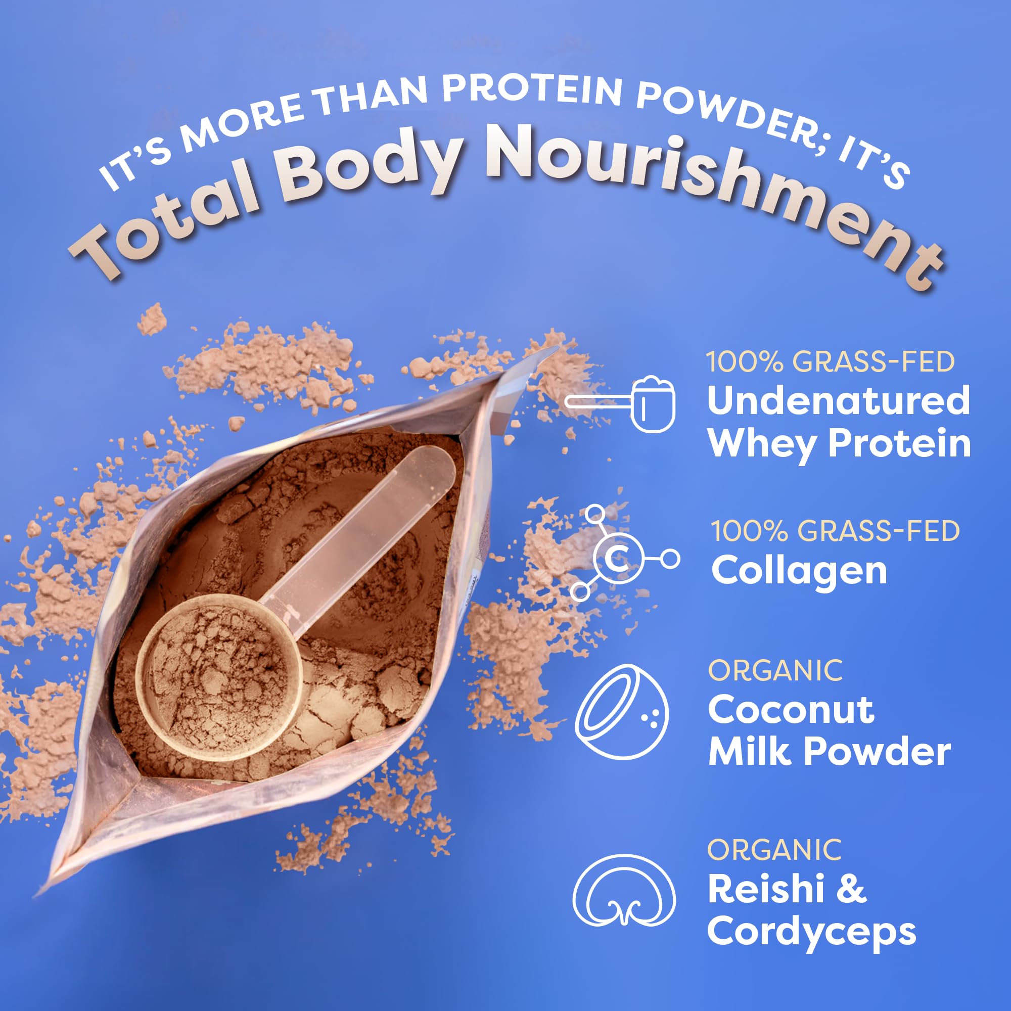 FlavCity Protein Powder Smoothie, Butter Coffee - 100% Grass-Fed Whey Protein Powder FlavCity buy supplements canada