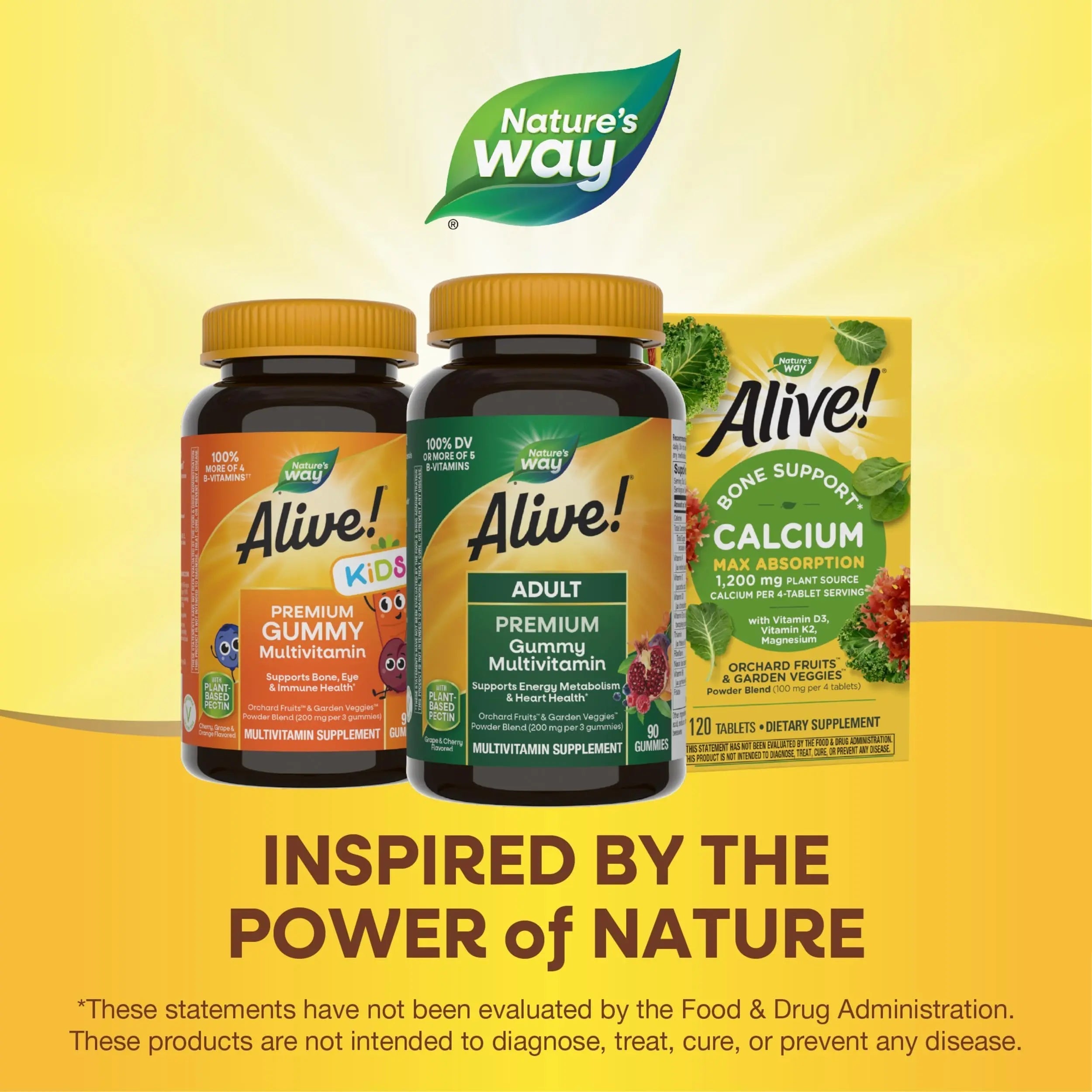 Nature's Way Alive! Adult Premium Multivitamin Gummy, Full B-Vitamin Complex, Supports Energy Metabolism & Heart Health*, 90 Gummies Nature's Way buy supplements canada
