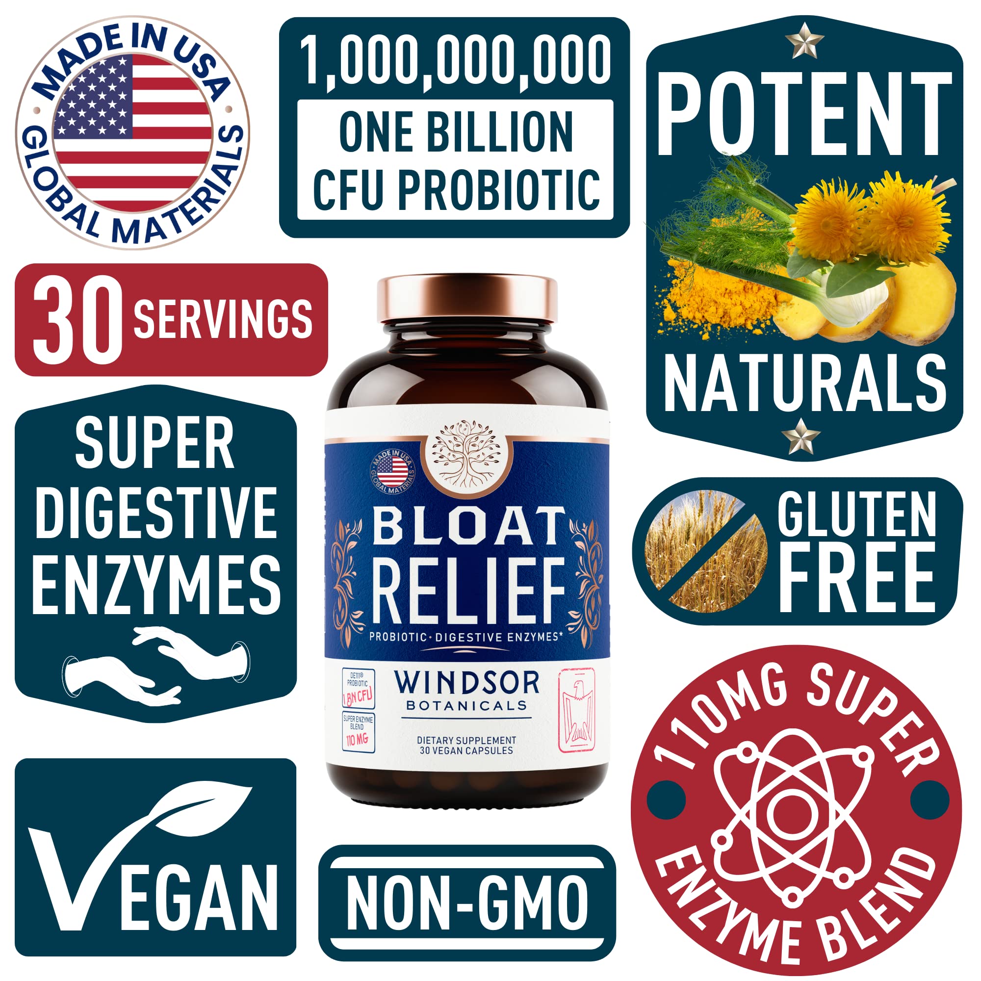Bloat Relief Probiotic and Digestive Enzymes - Anti Bloating Turmeric, Fennel, Bromelain IBS WINDSOR BOTANICALS buy supplements canada