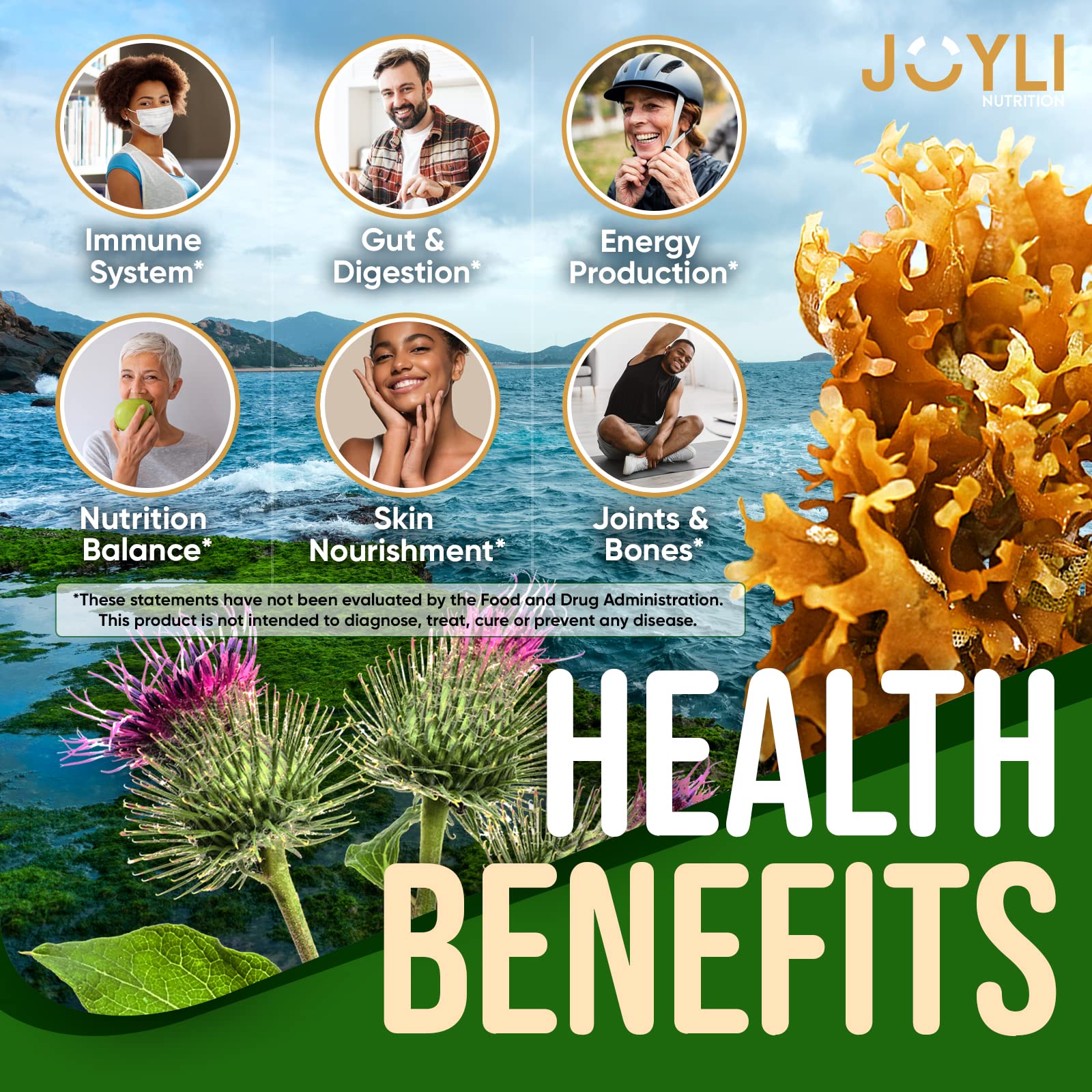 Sea Moss Gummies - Irish Seamoss Gummies for Adults & Kids - Advanced Superfood JOYLI Nutrition buy supplements canada