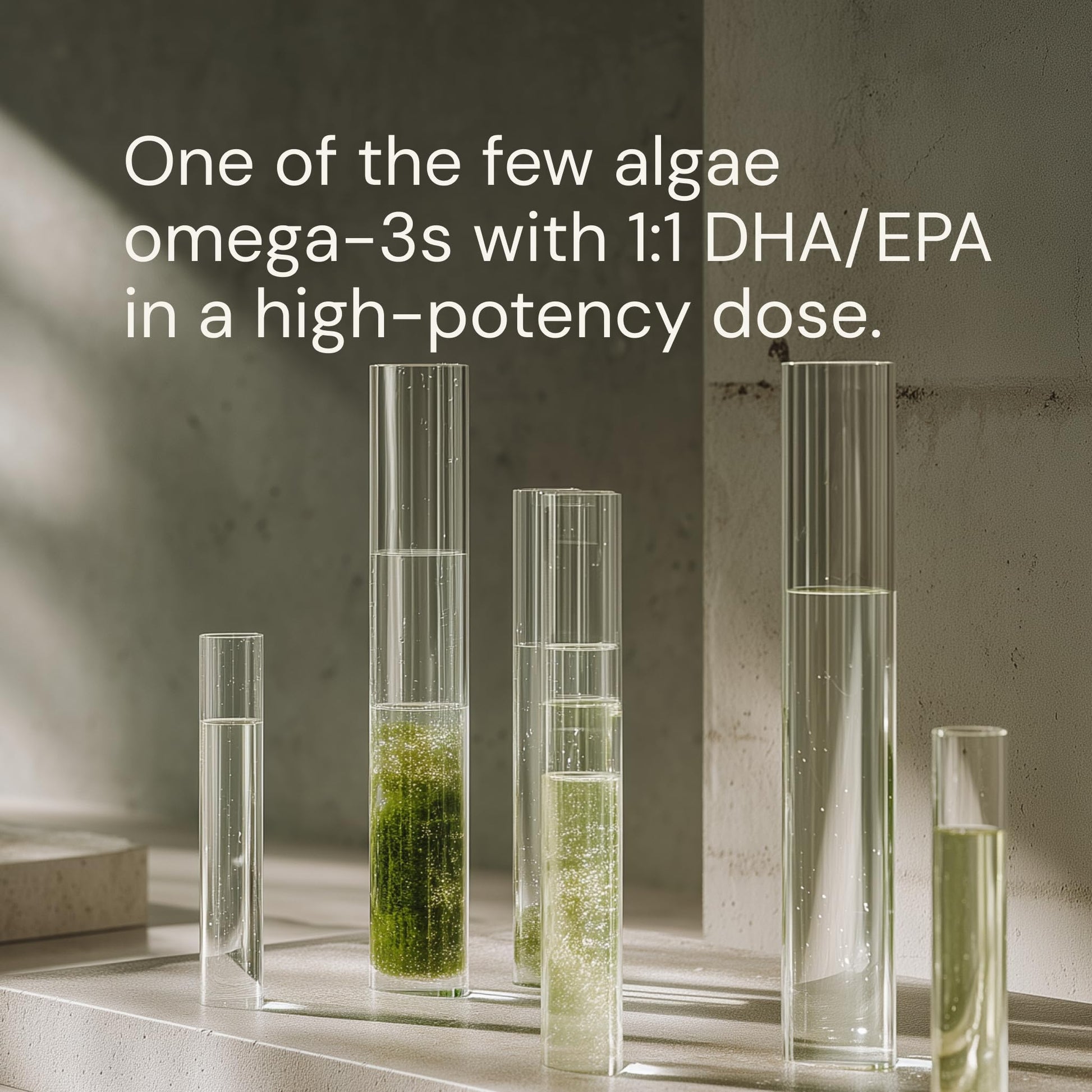 Blueprint Bryan Johnson Omega-3 - Vegan Algae Omega 3 Supplement with EPA/DHA - 800mg Plant-Based for Brain, Heart & Joint Support - High Absorption Triglyceride Form - 1:1 EPA/DHA Blueprint Bryan Johnson buy supplements canada